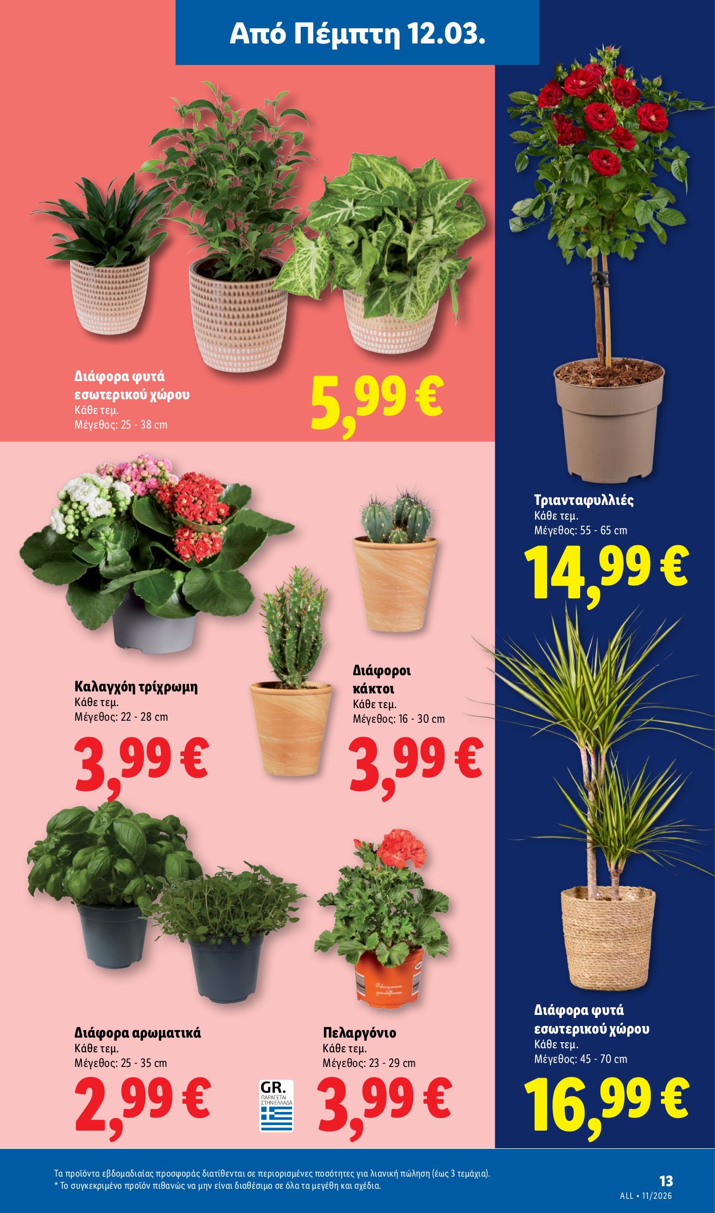 lidl - Lidl φυλλάδιο έγκυρο από 12/03/2026 - 18/03/2026 - page: 61