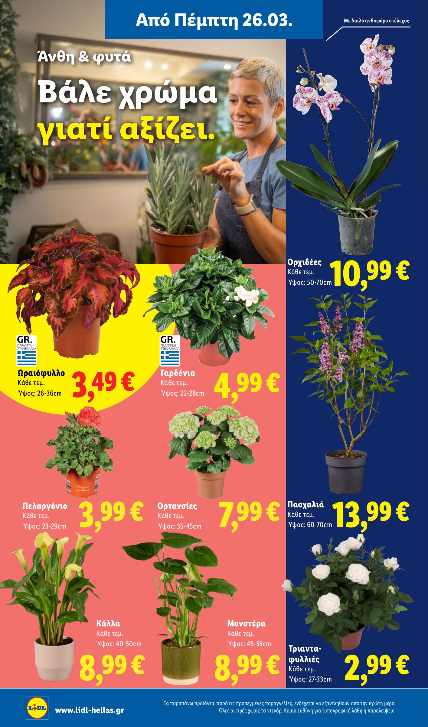 lidl - Lidl - Μη τρόφιμα φυλλάδιο έγκυρο από 26/03/2026 - 01/04/2026 - page: 12