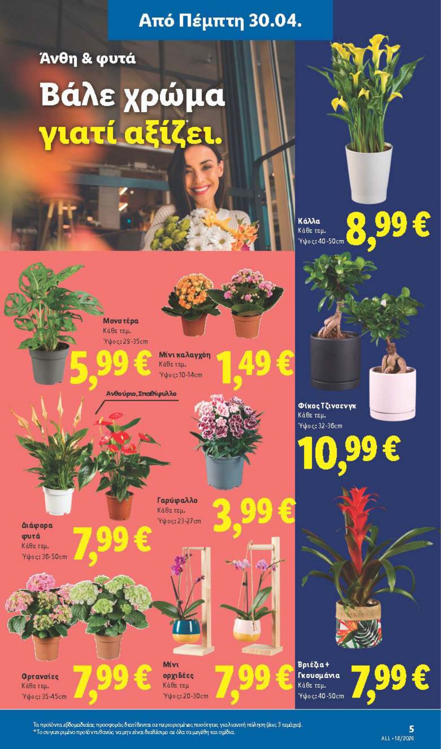 lidl - Μέλλων φυλλάδιο Lidl - Μη Τρόφιμα ισχύει από πέμπτης 30/04/2026 μέχρι τετάρτης 06/05/2026 - page: 5
