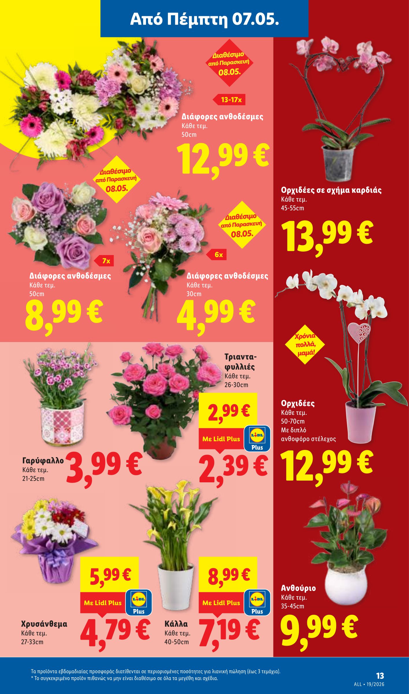 lidl - Μέλλων φυλλάδιο Lidl ισχύει από πέμπτης 07/05/2026 μέχρι τετάρτης 13/05/2026 - page: 43
