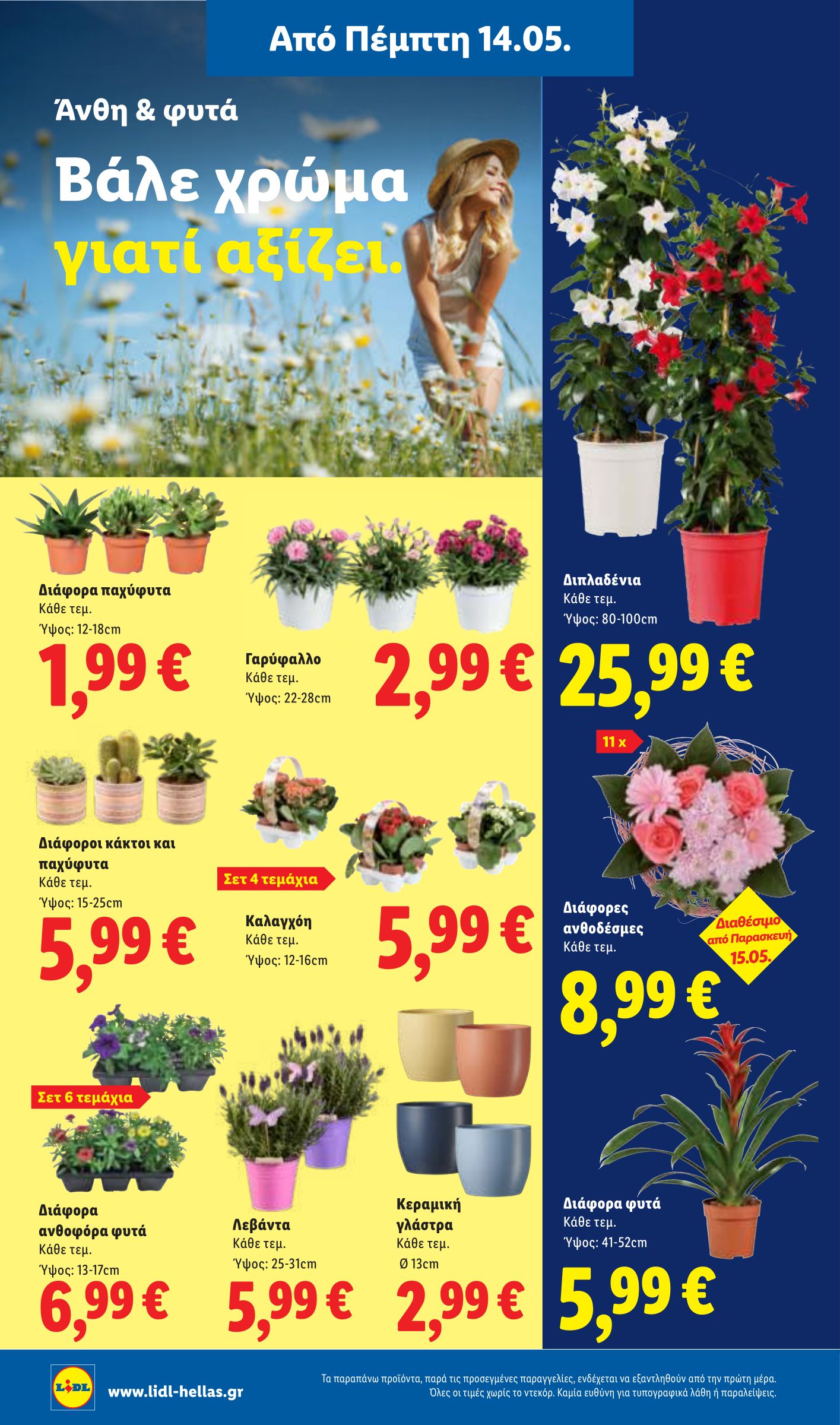 lidl - Μέλλων φυλλάδιο Lidl ισχύει από πέμπτης 14/05/2026 μέχρι τετάρτης 20/05/2026 - page: 40