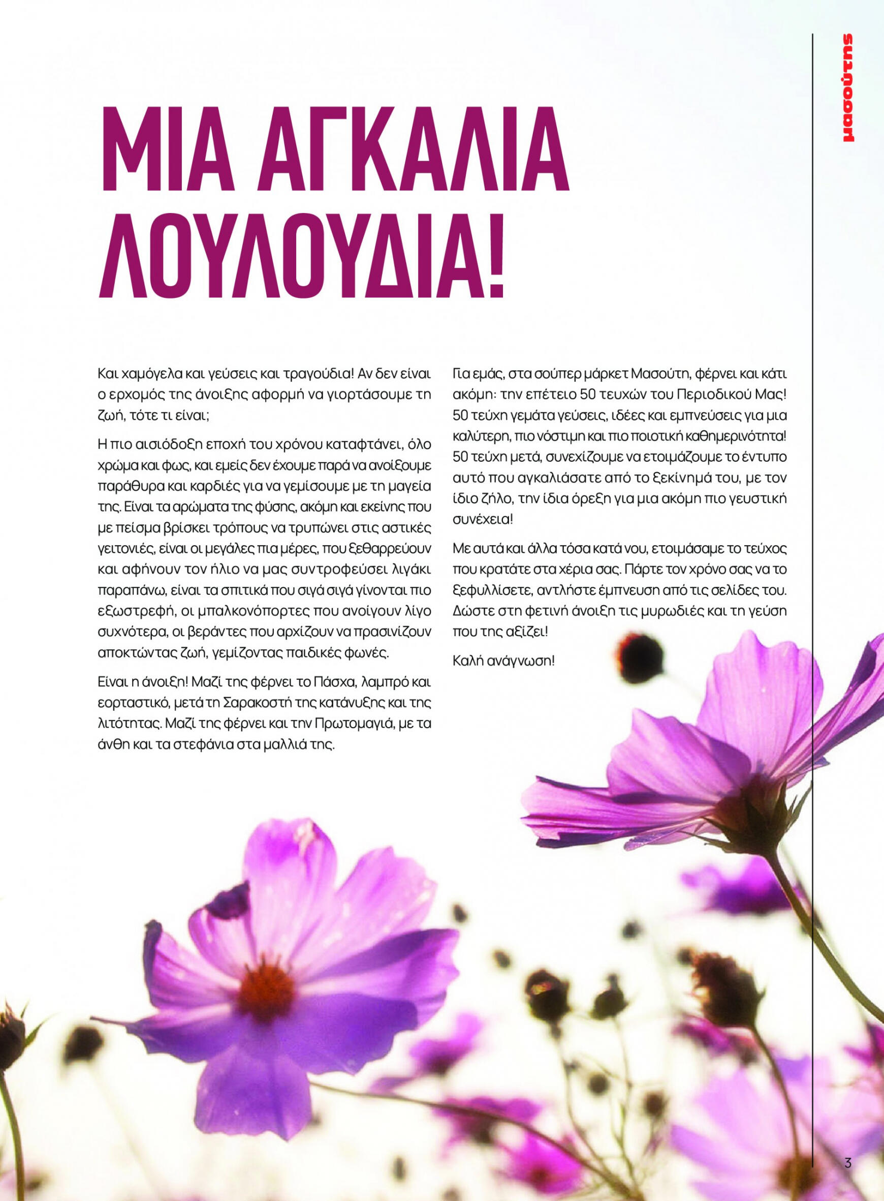 masoutis - Masoutis φυλλάδιο ρεύματος 01/03 - 30/09 - page: 3