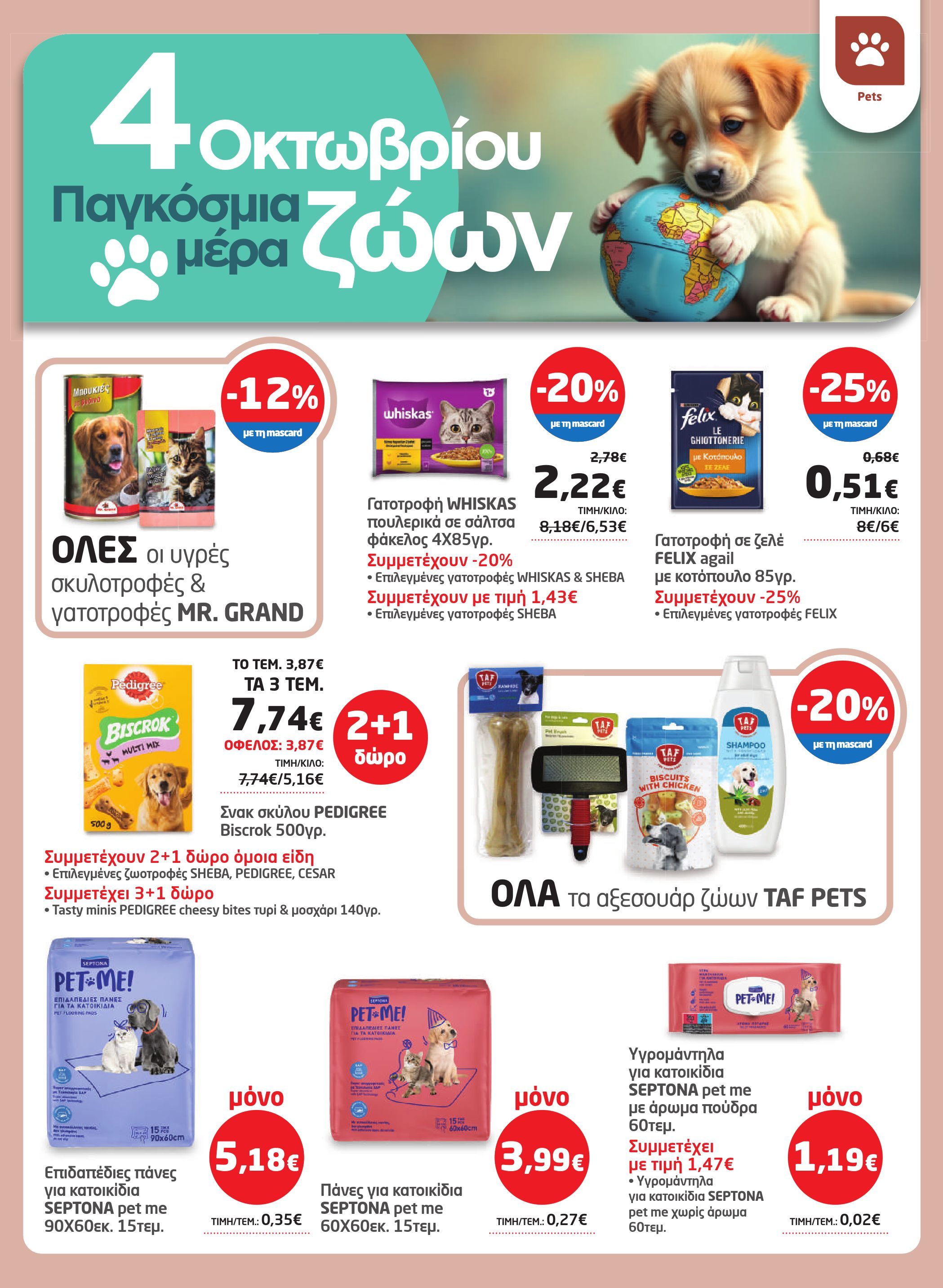 masoutis - Masoutis φυλλάδιο έγκυρο από 02/10 - 22/10 - page: 41