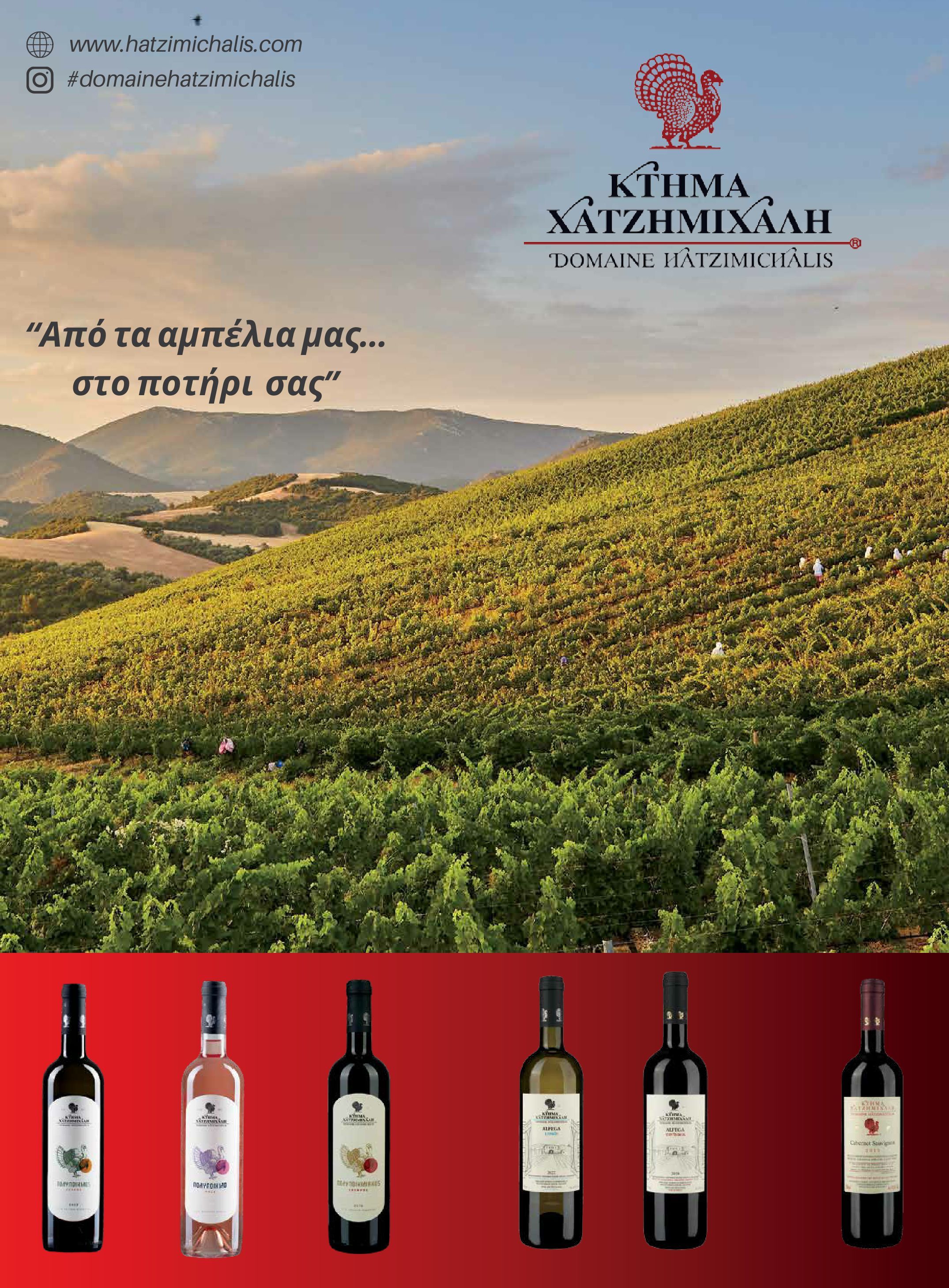 masoutis - Masoutis - Χειμώνας - Γεύσεις & εμπνεύσεις φυλλάδιο έγκυρο από 18/11 - 31/12 - page: 75