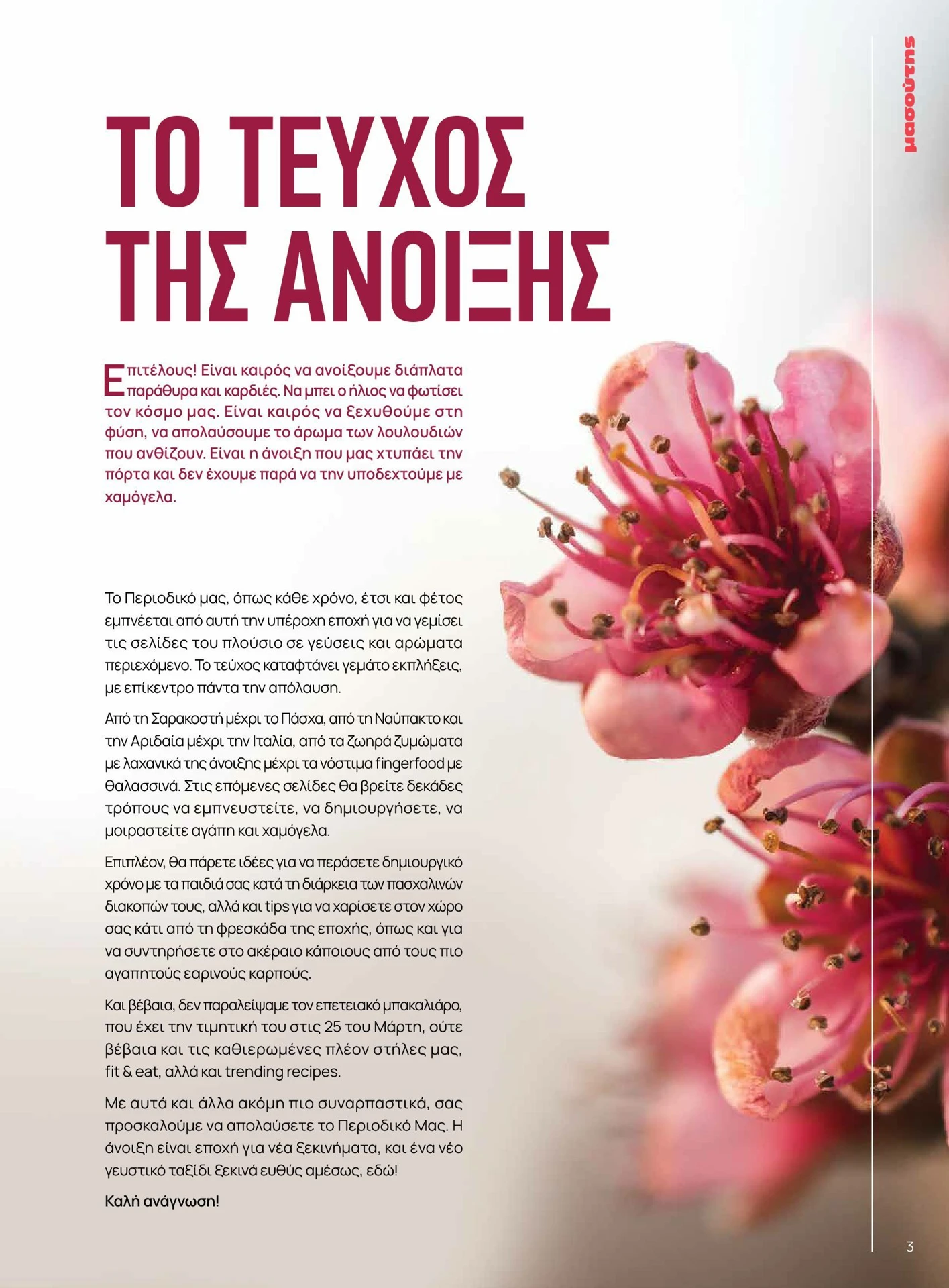 masoutis - Masoutis - Άνοιξη - Γεύσεις & εμπνεύσεις φυλλάδιο έγκυρο από 01/02/2026 - 28/02/2026 - page: 3