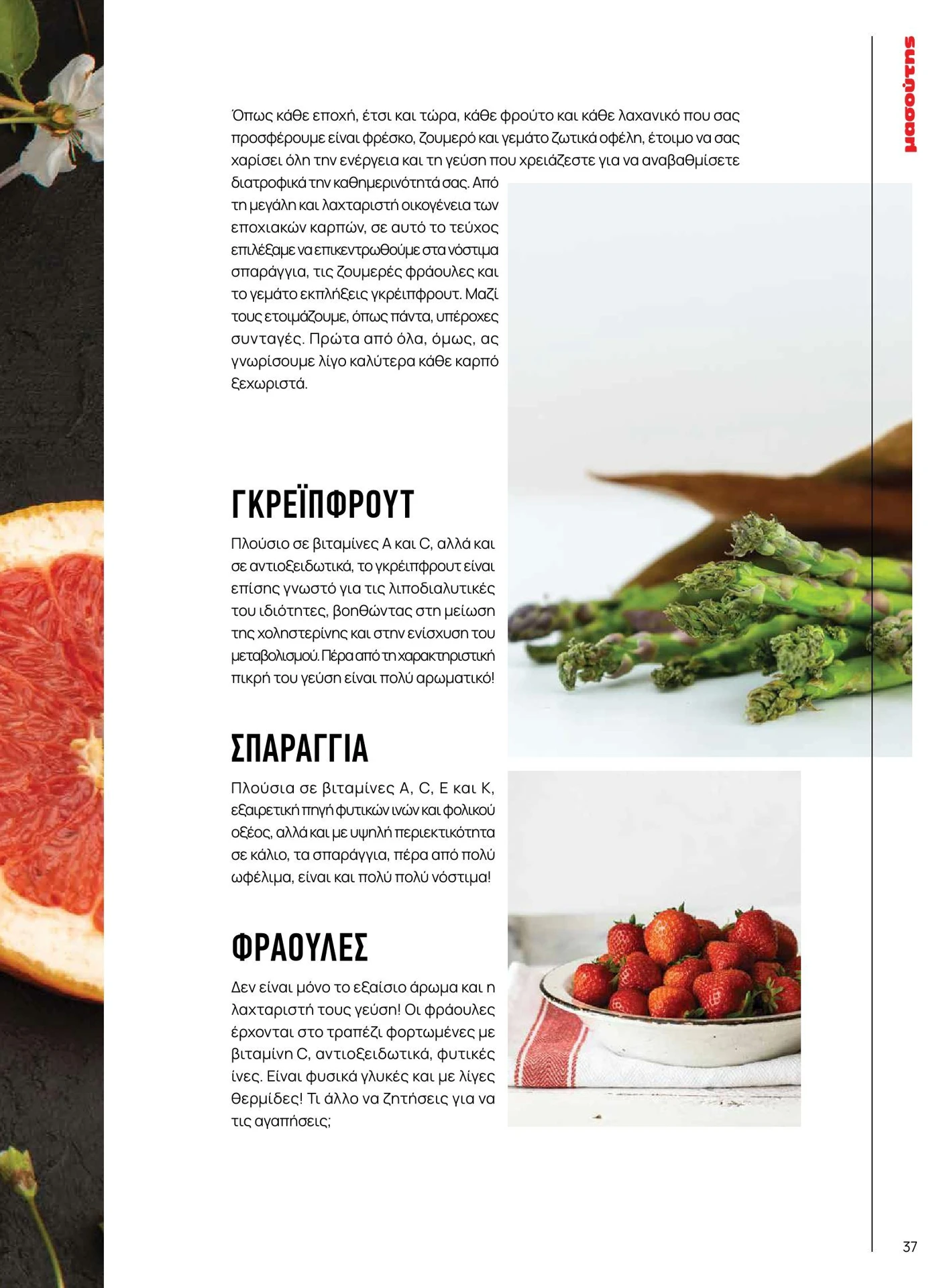 masoutis - Masoutis - Άνοιξη - Γεύσεις & εμπνεύσεις φυλλάδιο έγκυρο από 01/02/2026 - 28/02/2026 - page: 37