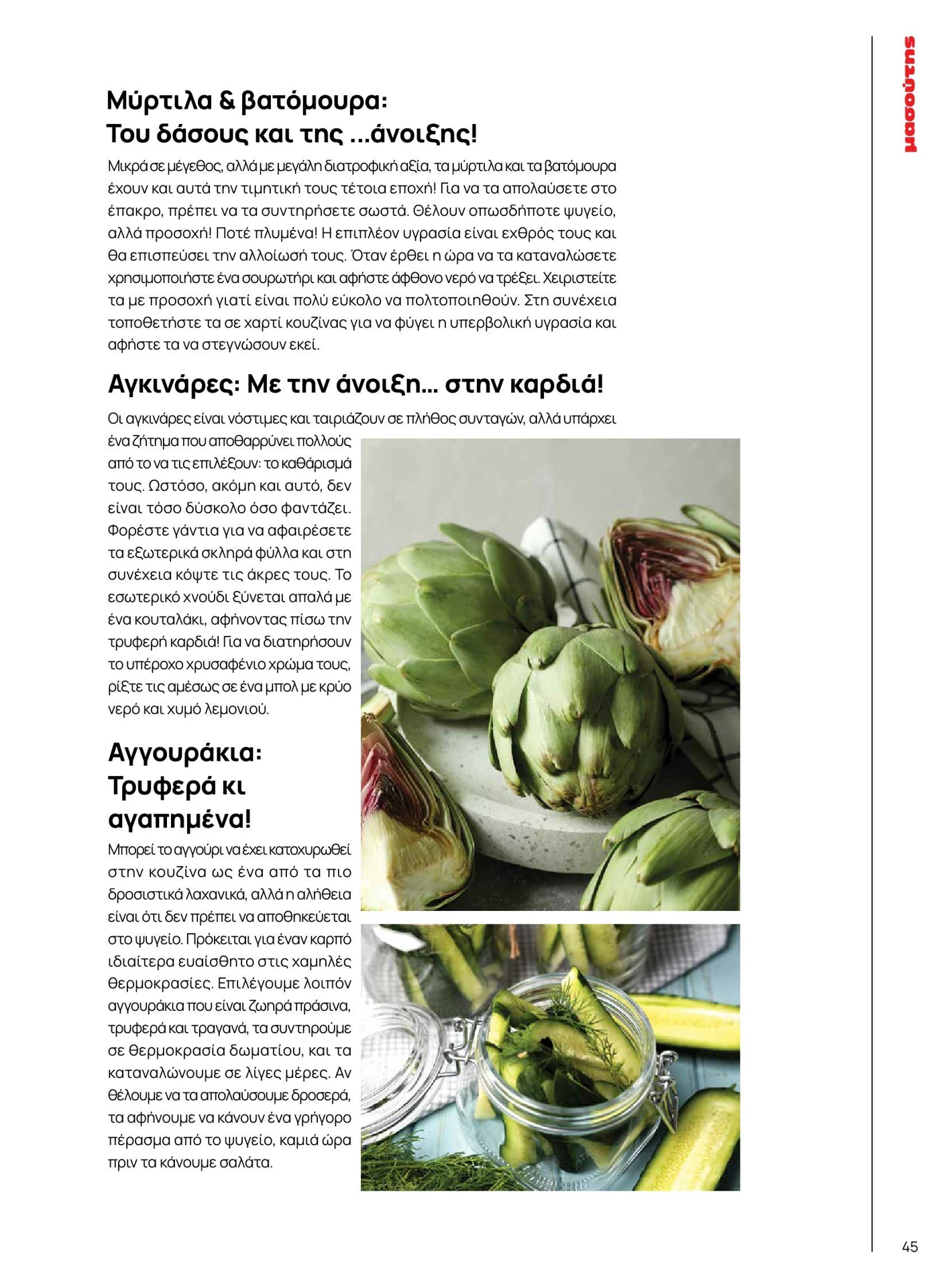 masoutis - Masoutis - Άνοιξη - Γεύσεις & εμπνεύσεις φυλλάδιο έγκυρο από 01/02/2026 - 28/02/2026 - page: 45