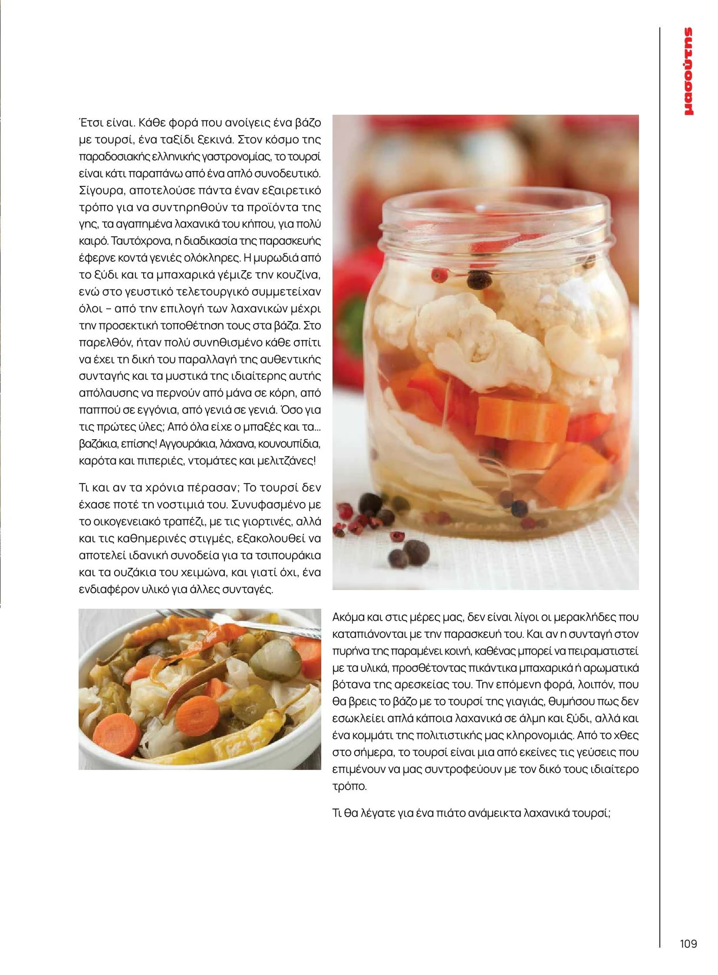 masoutis - Masoutis - Χειμώνας - Γεύσεις & εμπνεύσεις φυλλάδιο έγκυρο από 01/02/2026 - 28/02/2026 - page: 109