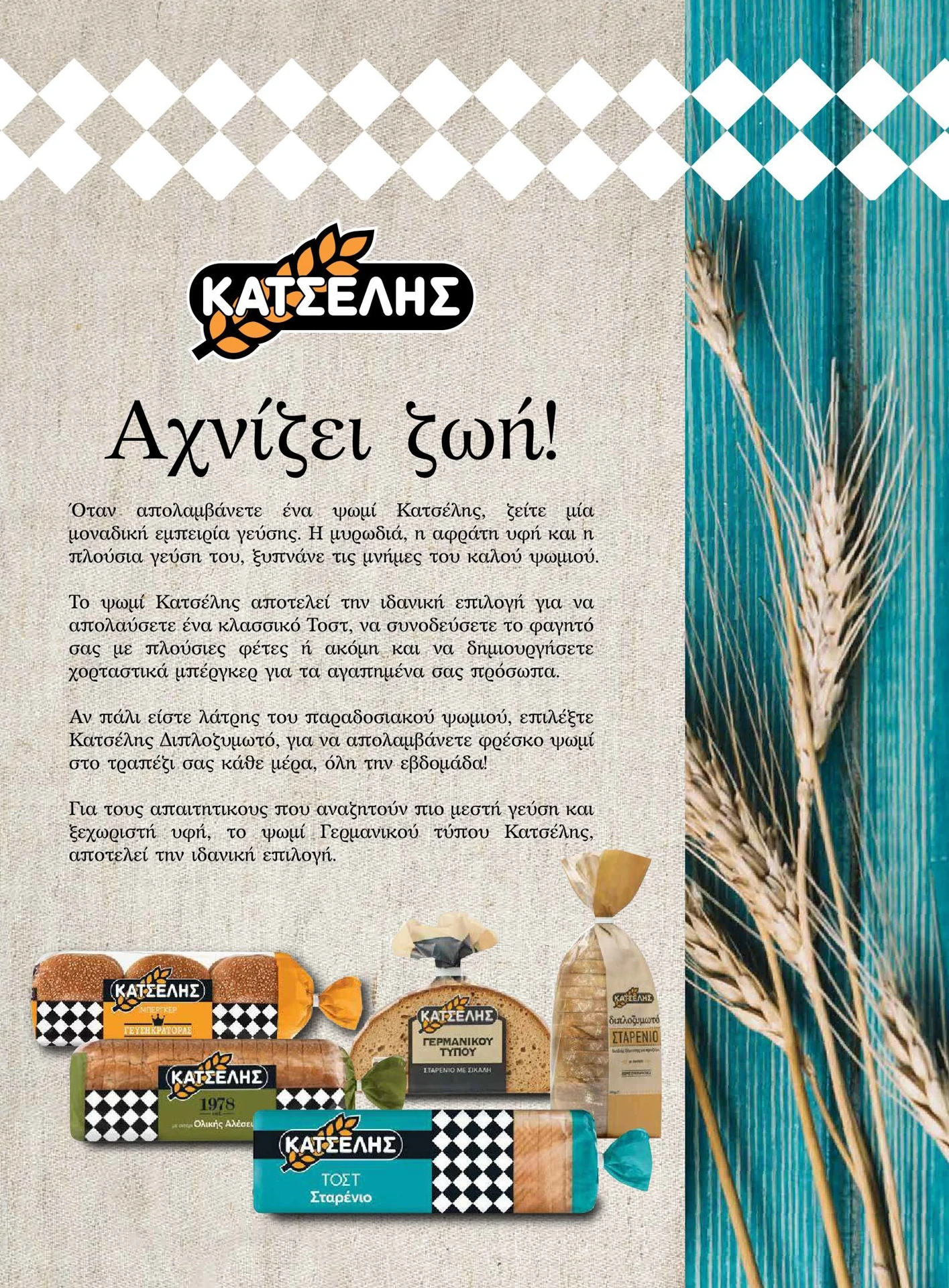 masoutis - Masoutis - Χειμώνας - Γεύσεις & εμπνεύσεις φυλλάδιο έγκυρο από 01/02/2026 - 28/02/2026 - page: 47