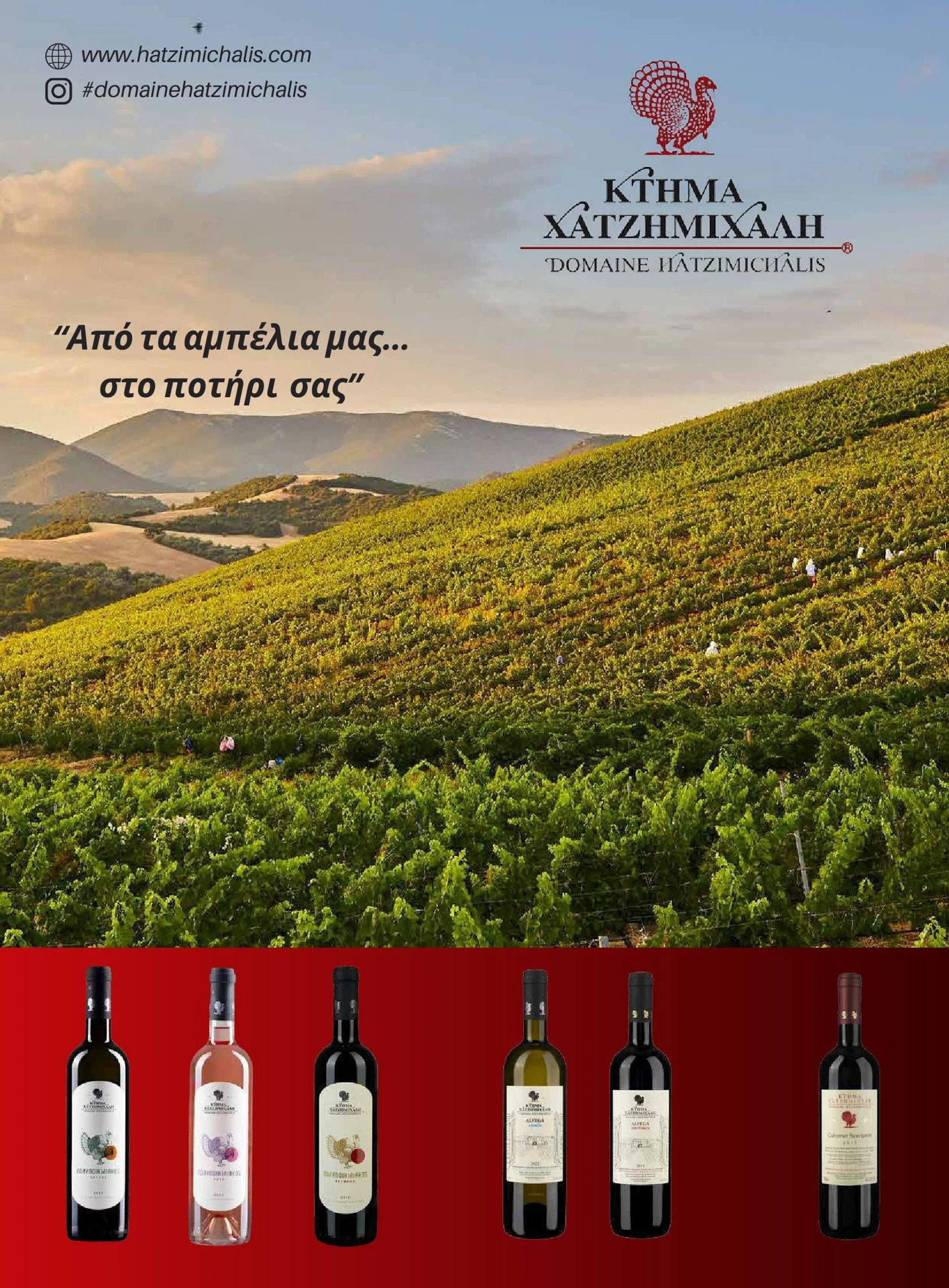 masoutis - Masoutis - Χειμώνας - Γεύσεις & εμπνεύσεις φυλλάδιο έγκυρο από 01/02/2026 - 28/02/2026 - page: 69