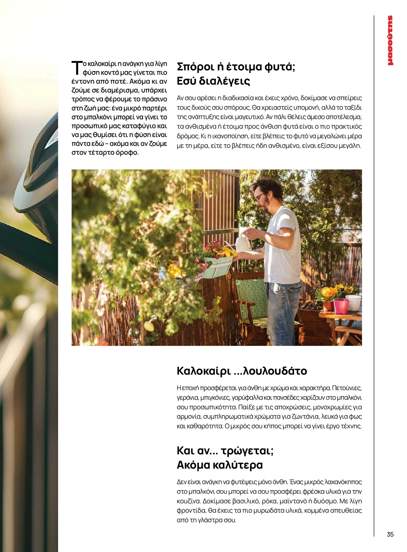 masoutis - Masoutis - Καλοκαίρι - Γεύσεις & εμπνεύσεις φυλλάδιο έγκυρο από 01/02/2026 - 28/02/2026 - page: 35