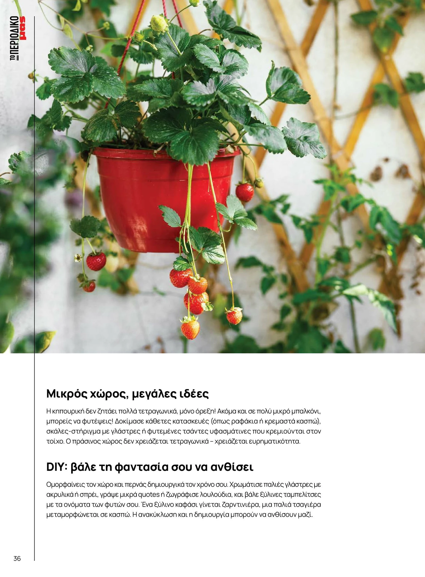 masoutis - Masoutis - Καλοκαίρι - Γεύσεις & εμπνεύσεις φυλλάδιο έγκυρο από 01/02/2026 - 28/02/2026 - page: 36