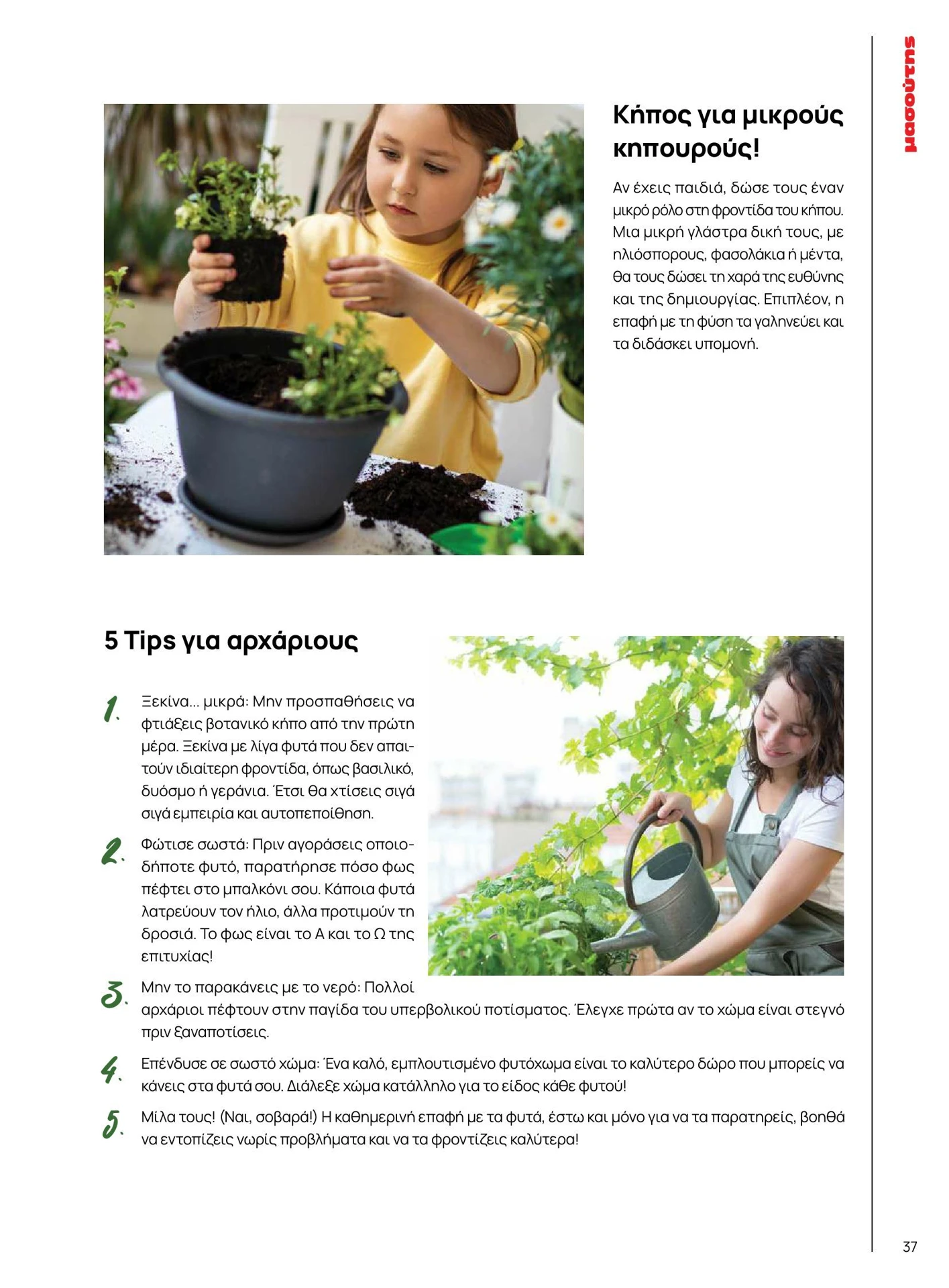 masoutis - Masoutis - Καλοκαίρι - Γεύσεις & εμπνεύσεις φυλλάδιο έγκυρο από 01/02/2026 - 28/02/2026 - page: 37