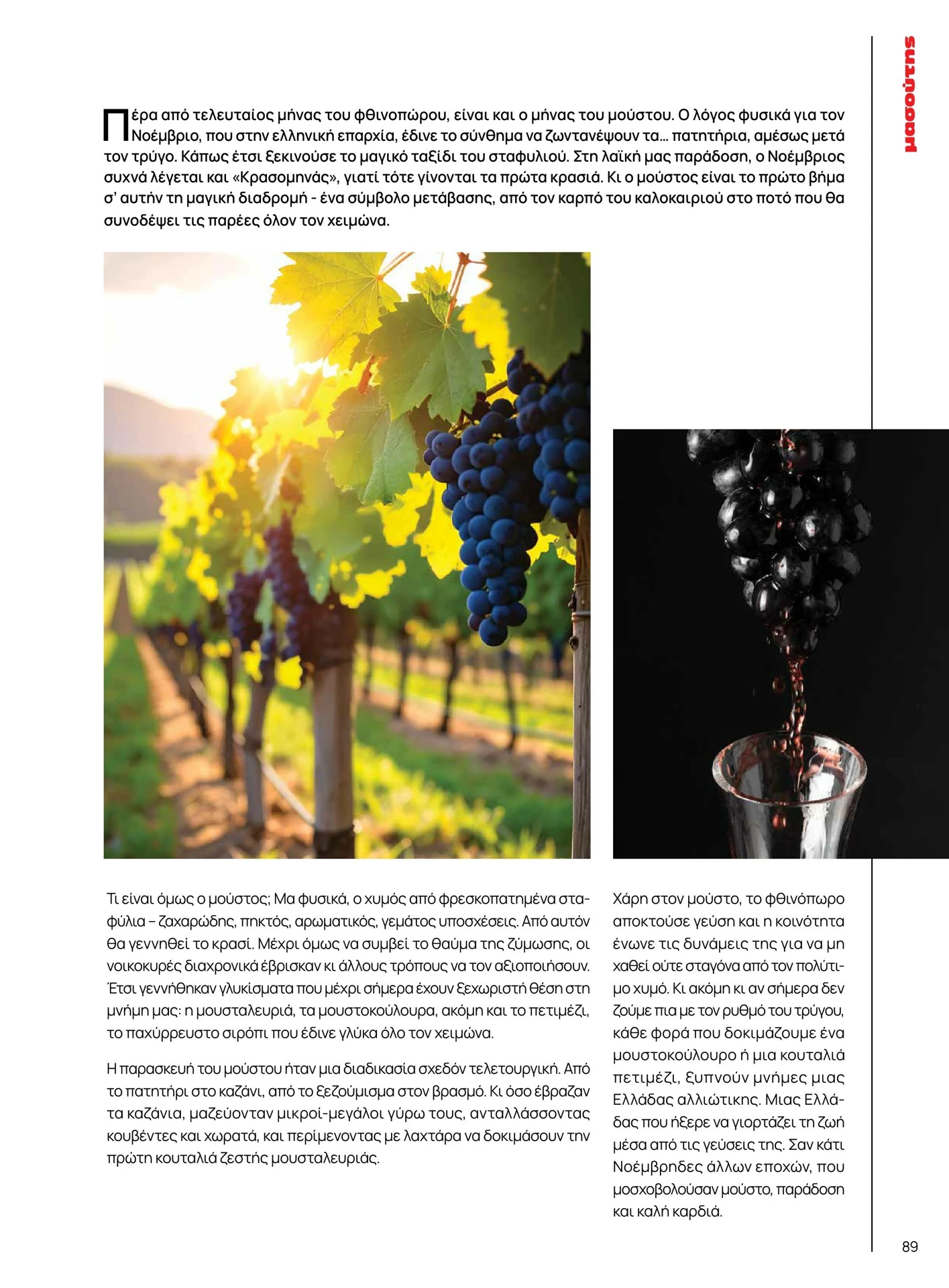 masoutis - Masoutis - Χειμώνας φυλλάδιο έγκυρο από 01/02/2026 - 28/02/2026 - page: 89