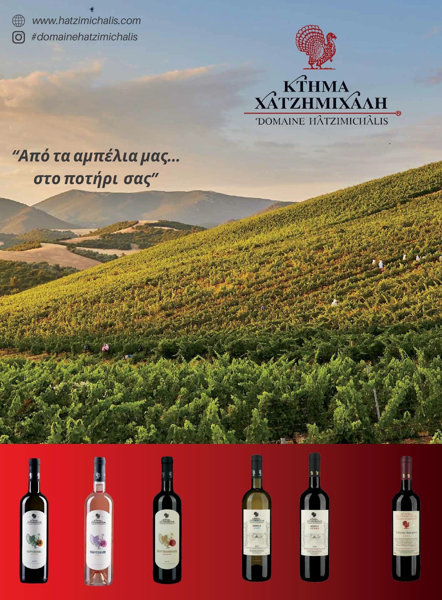 masoutis - Masoutis - Χειμώνας φυλλάδιο έγκυρο από 01/02/2026 - 28/02/2026 - page: 75