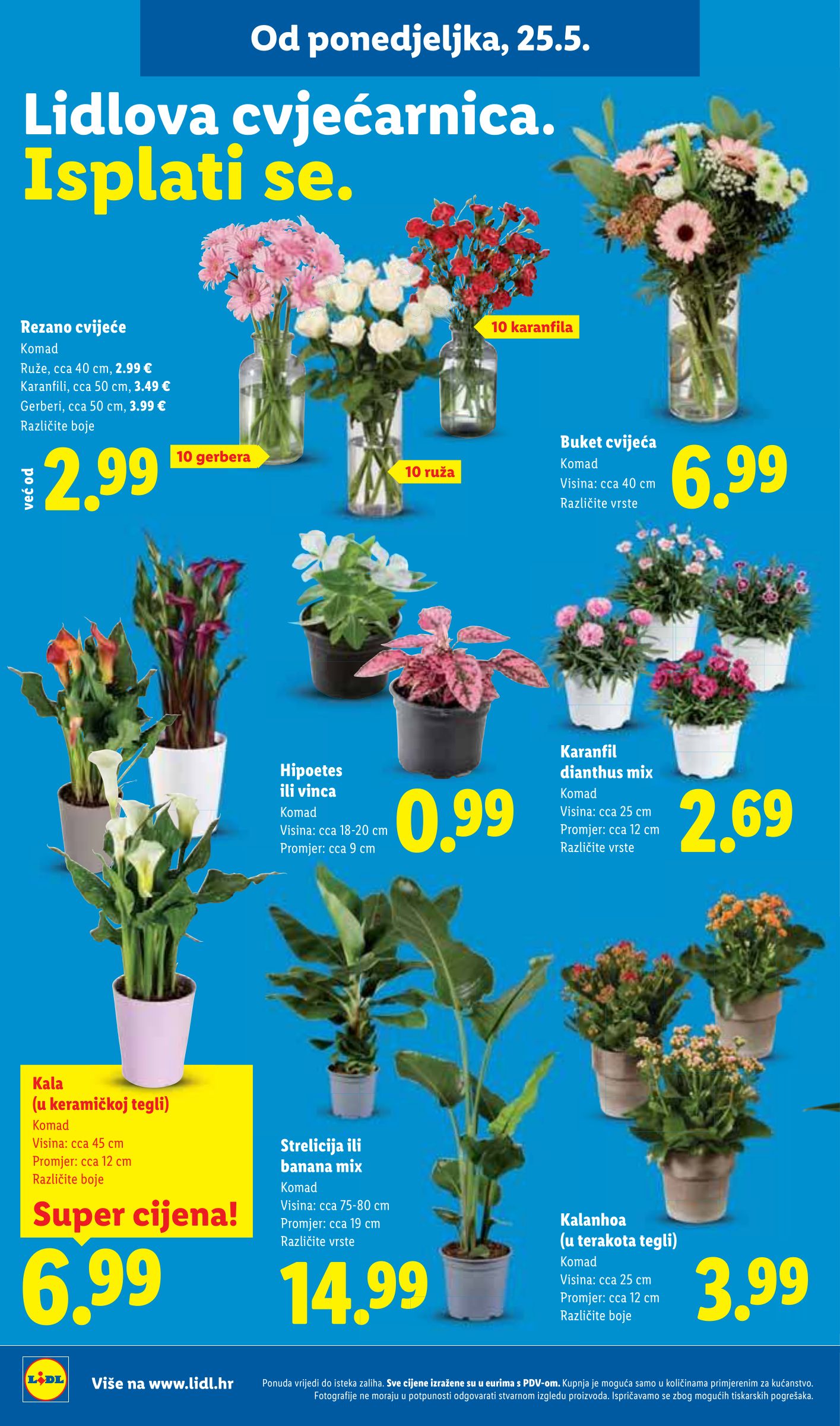 lidl - Novi Lidl katalog od ponedjeljka, 25.05.2026 do nedjelje, 31.05.2026 - page: 40