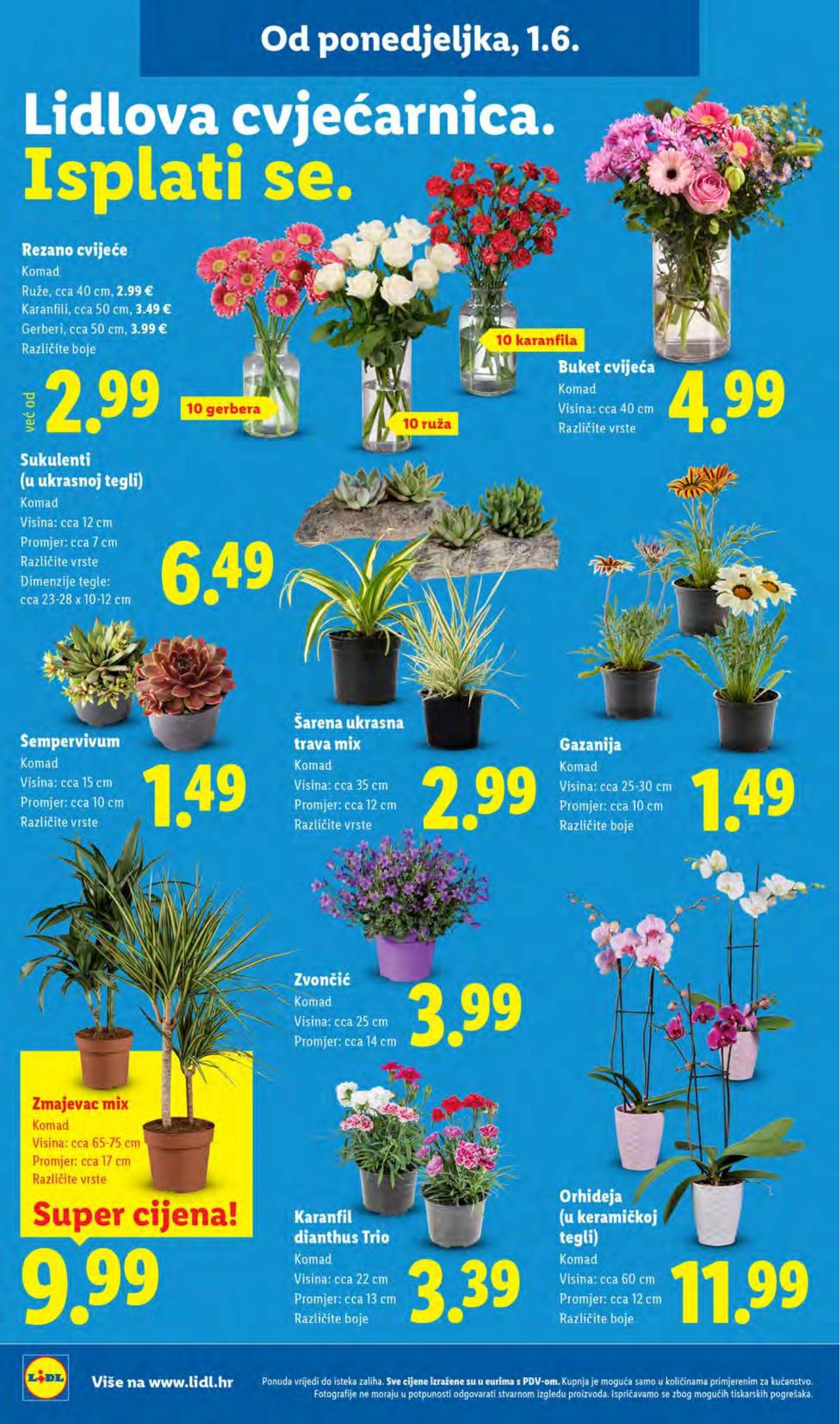lidl - Novi Lidl katalog od ponedjeljka, 01.06.2026 do nedjelje, 07.06.2026 - page: 46
