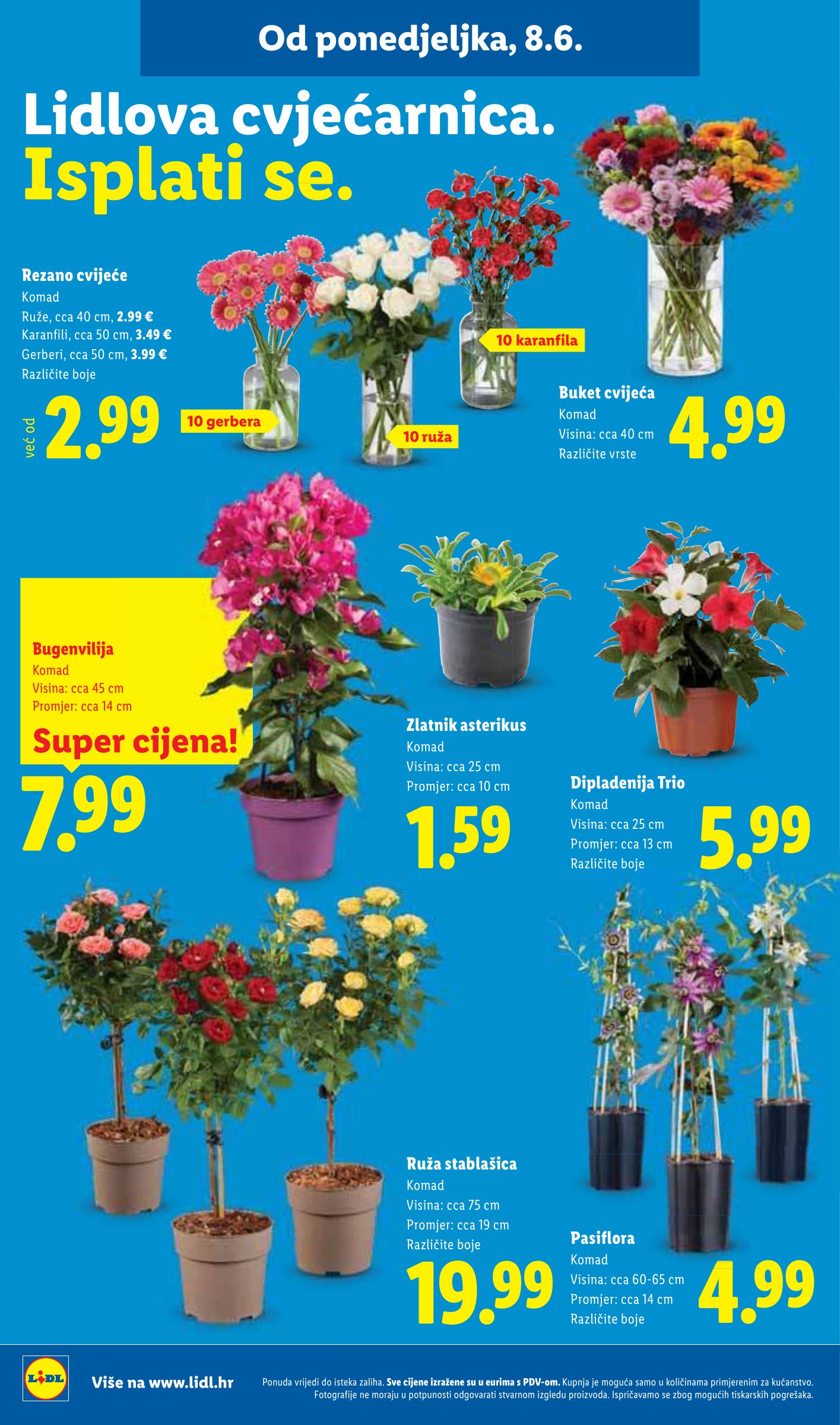 lidl - Novi Lidl katalog od ponedjeljka, 08.06.2026 do nedjelje, 14.06.2026 - page: 56