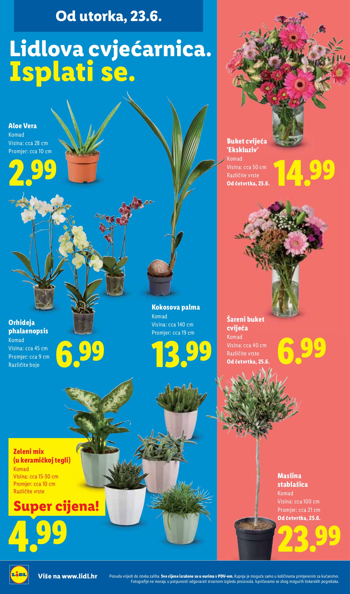 lidl - Novi Lidl katalog od utorka, 23.06.2026 do nedjelje, 28.06.2026 - page: 50