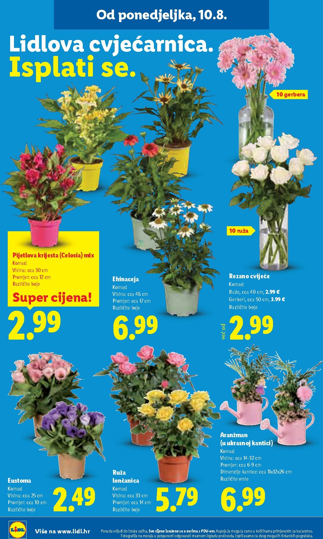 lidl - Aktualni katalog Lidl od ponedjeljka, 10.08.2026 do nedjelje, 16.08.2026 - page: 50