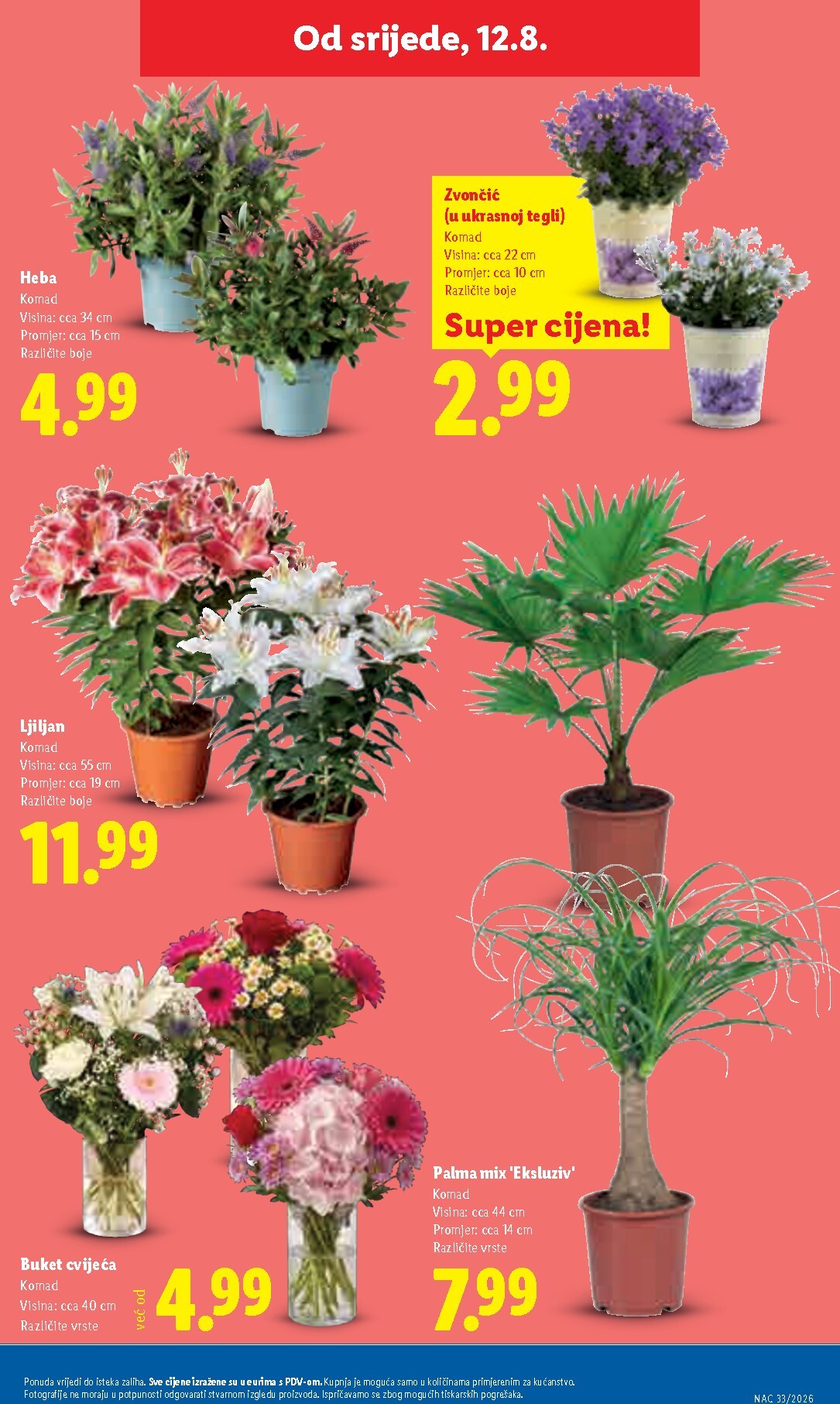 lidl - Aktualni katalog Lidl od ponedjeljka, 10.08.2026 do nedjelje, 16.08.2026 - page: 51