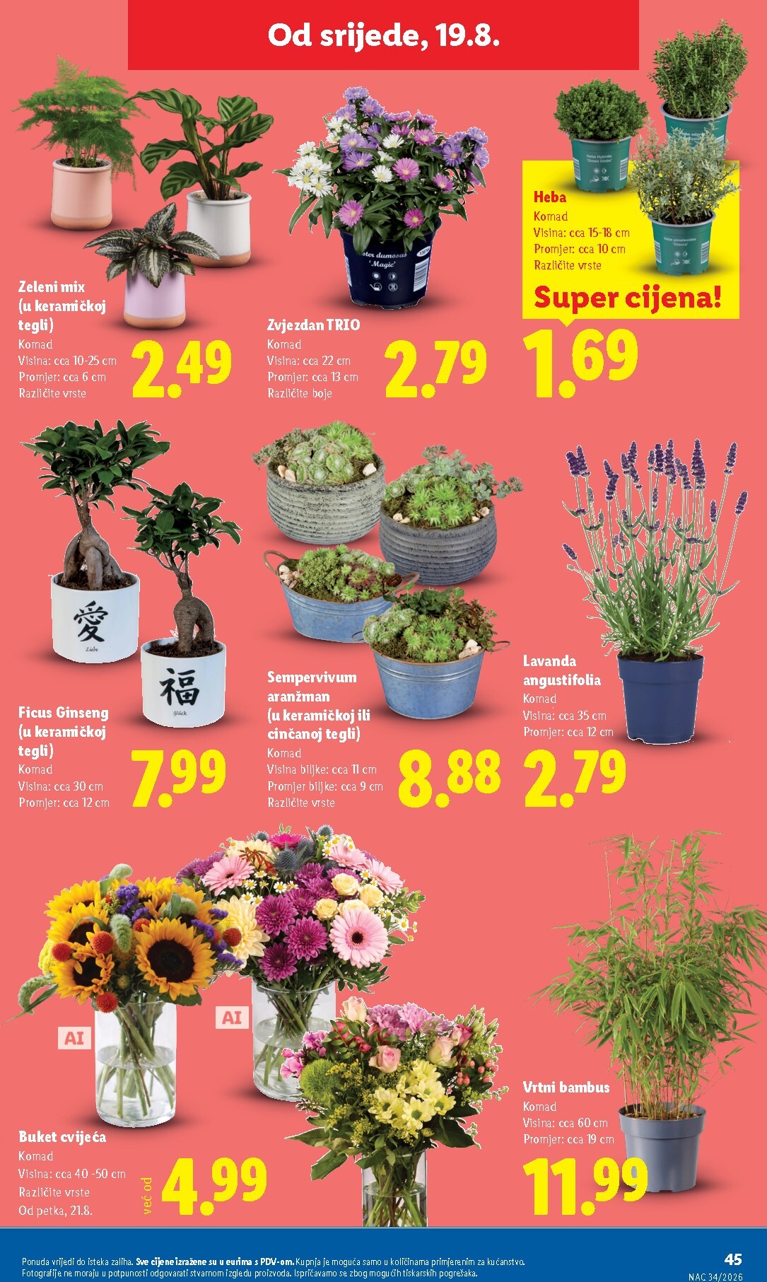 lidl - Aktualni katalog Lidl od ponedjeljka, 17.08.2026 do nedjelje, 23.08.2026 - page: 45