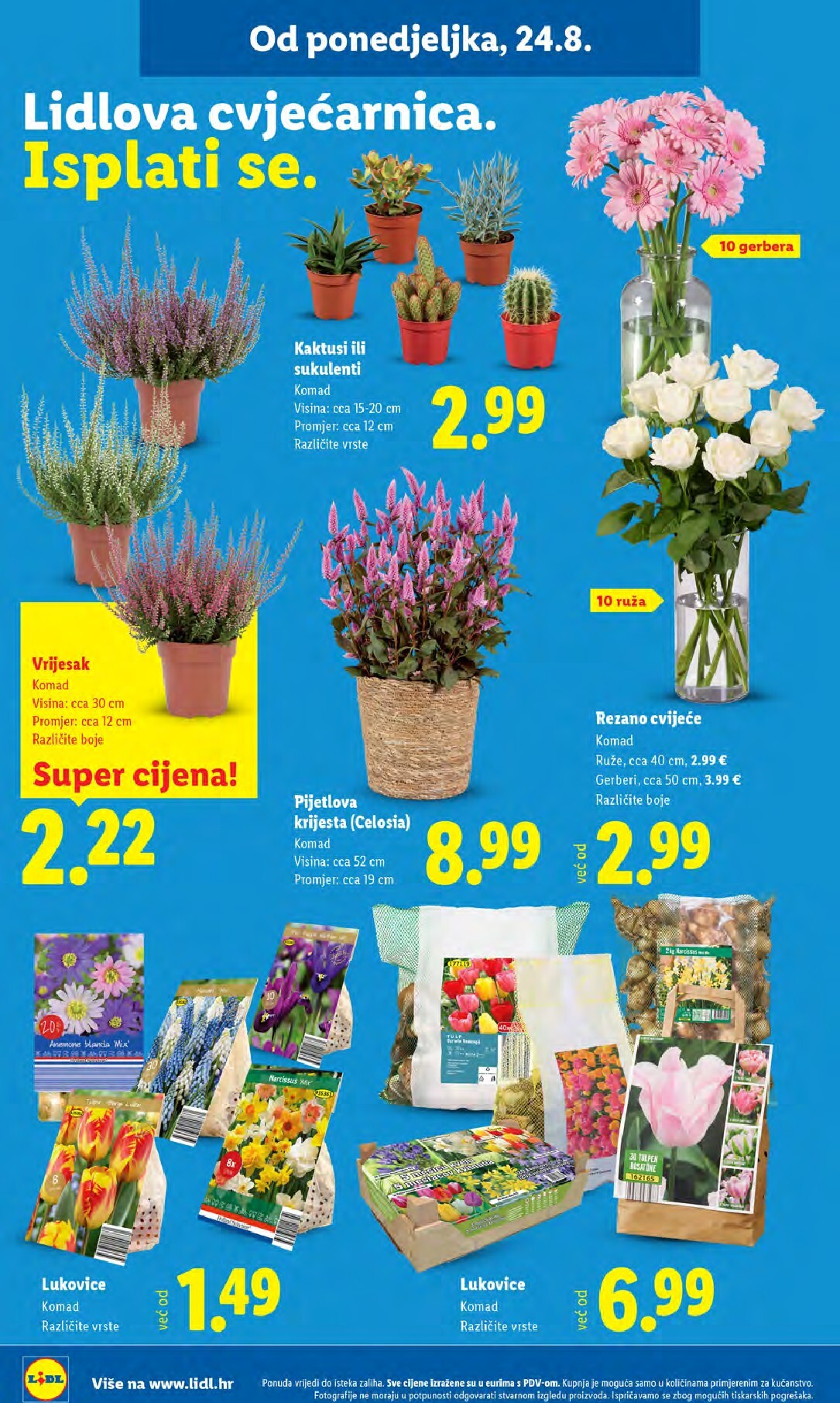 lidl - Novi Lidl katalog od ponedjeljka, 24.08.2026 do nedjelje, 30.08.2026 - page: 46