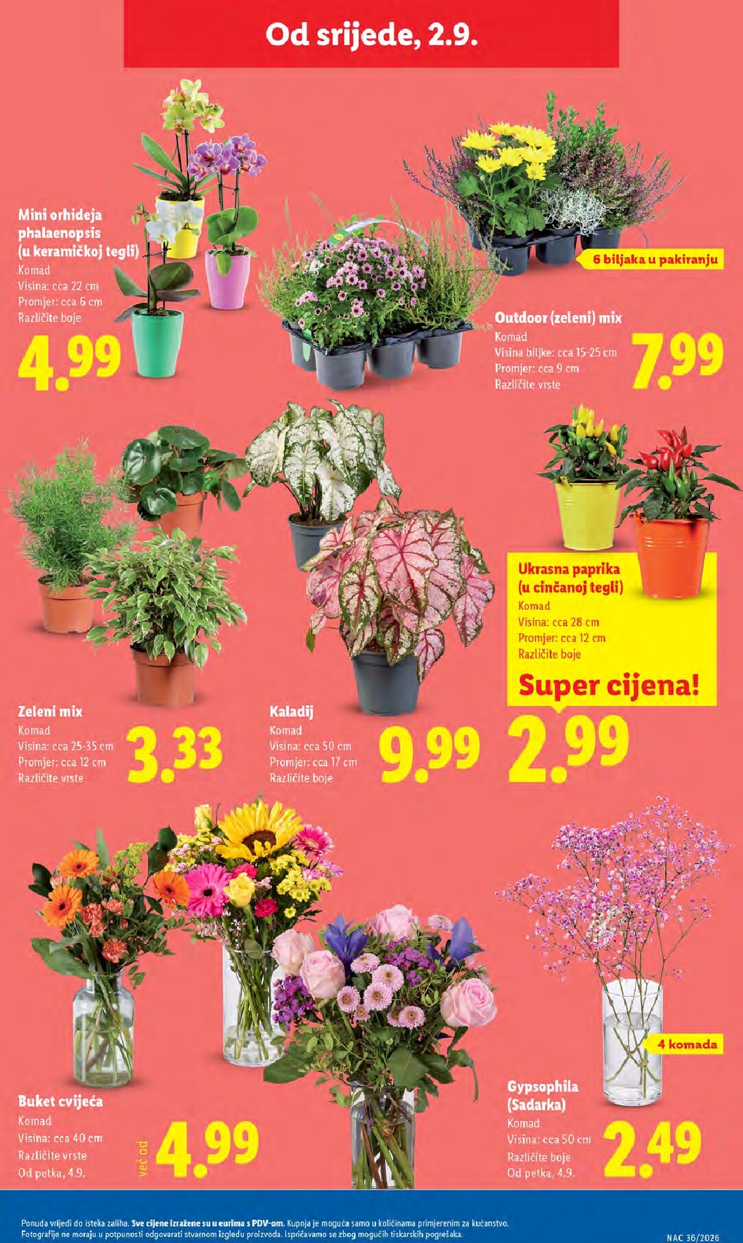 lidl - Novi Lidl katalog od ponedjeljka, 31.08.2026 do nedjelje, 06.09.2026 - page: 47