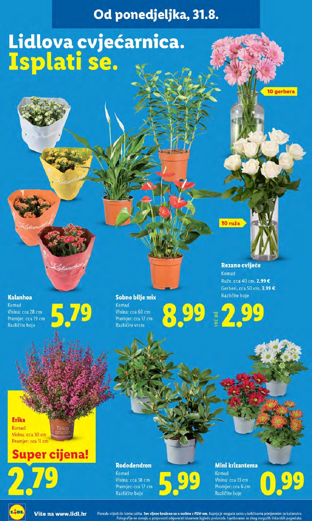 lidl - Aktualni katalog Lidl od ponedjeljka, 31.08.2026 do nedjelje, 06.09.2026 - page: 46