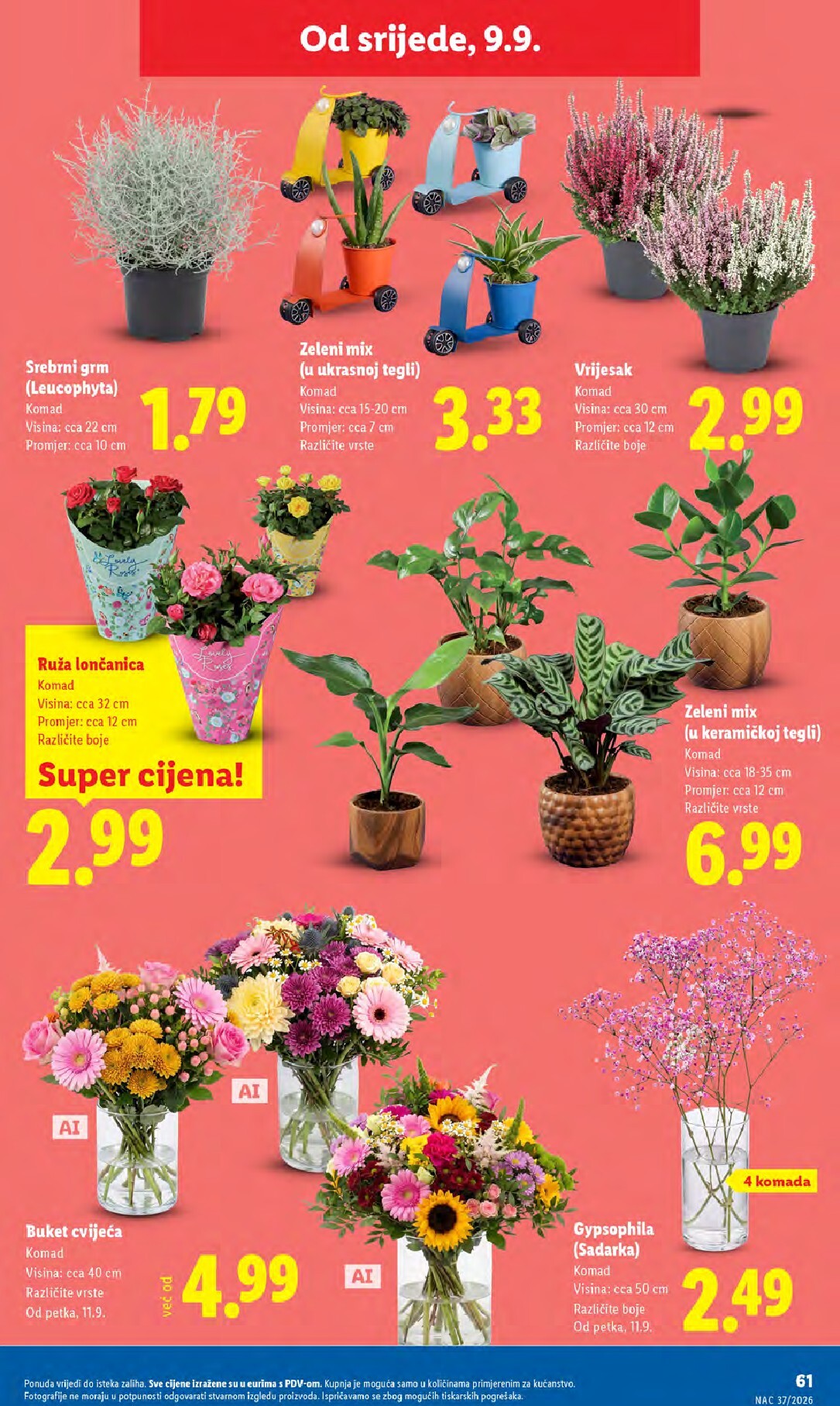 lidl - Aktualni katalog Lidl od ponedjeljka, 07.09.2026 do nedjelje, 13.09.2026 - page: 61