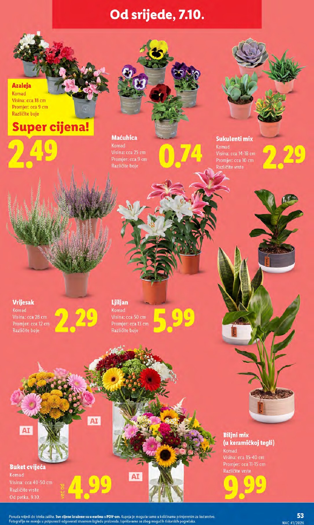 lidl - Novi Lidl katalog od ponedjeljka, 05.10.2026 do nedjelje, 11.10.2026 - page: 53
