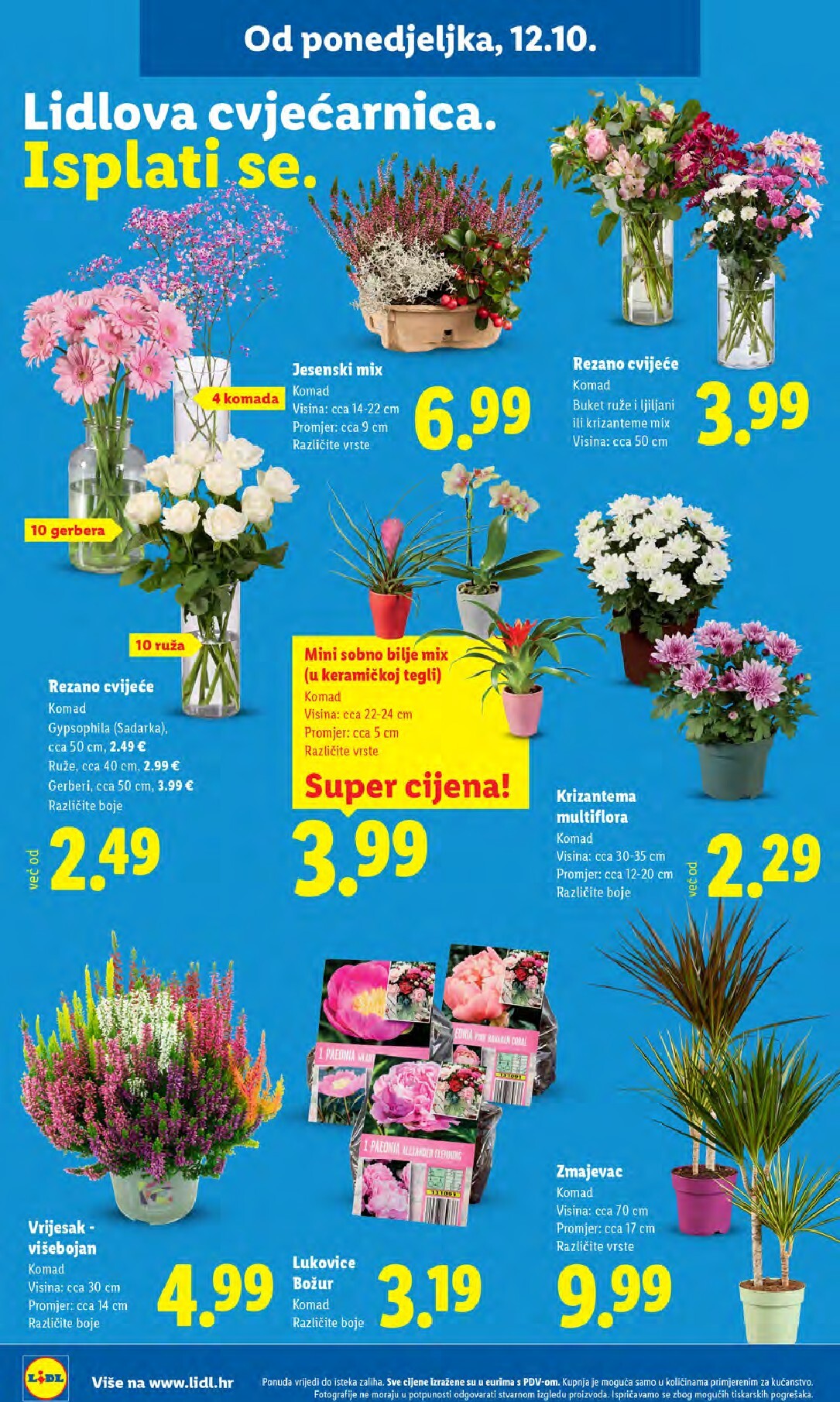 lidl - Novi Lidl katalog od ponedjeljka, 12.10.2026 do nedjelje, 18.10.2026 - page: 36
