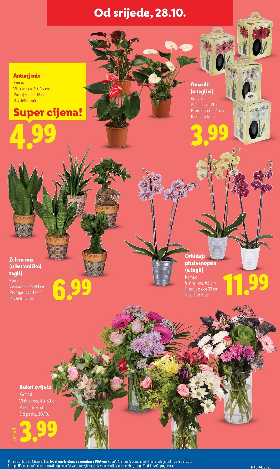 lidl - Novi Lidl katalog od ponedjeljka, 26.10.2026 do subote, 31.10.2026 - page: 63