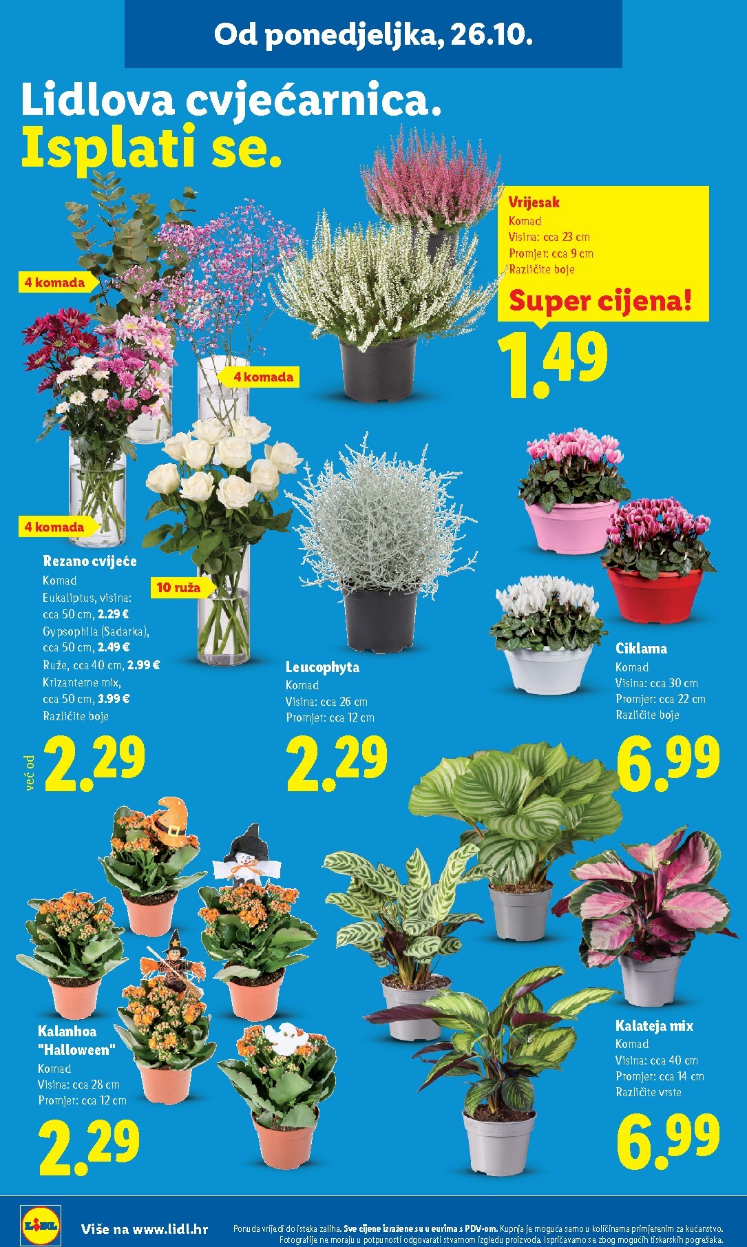 lidl - Novi Lidl katalog od ponedjeljka, 26.10.2026 do subote, 31.10.2026 - page: 62