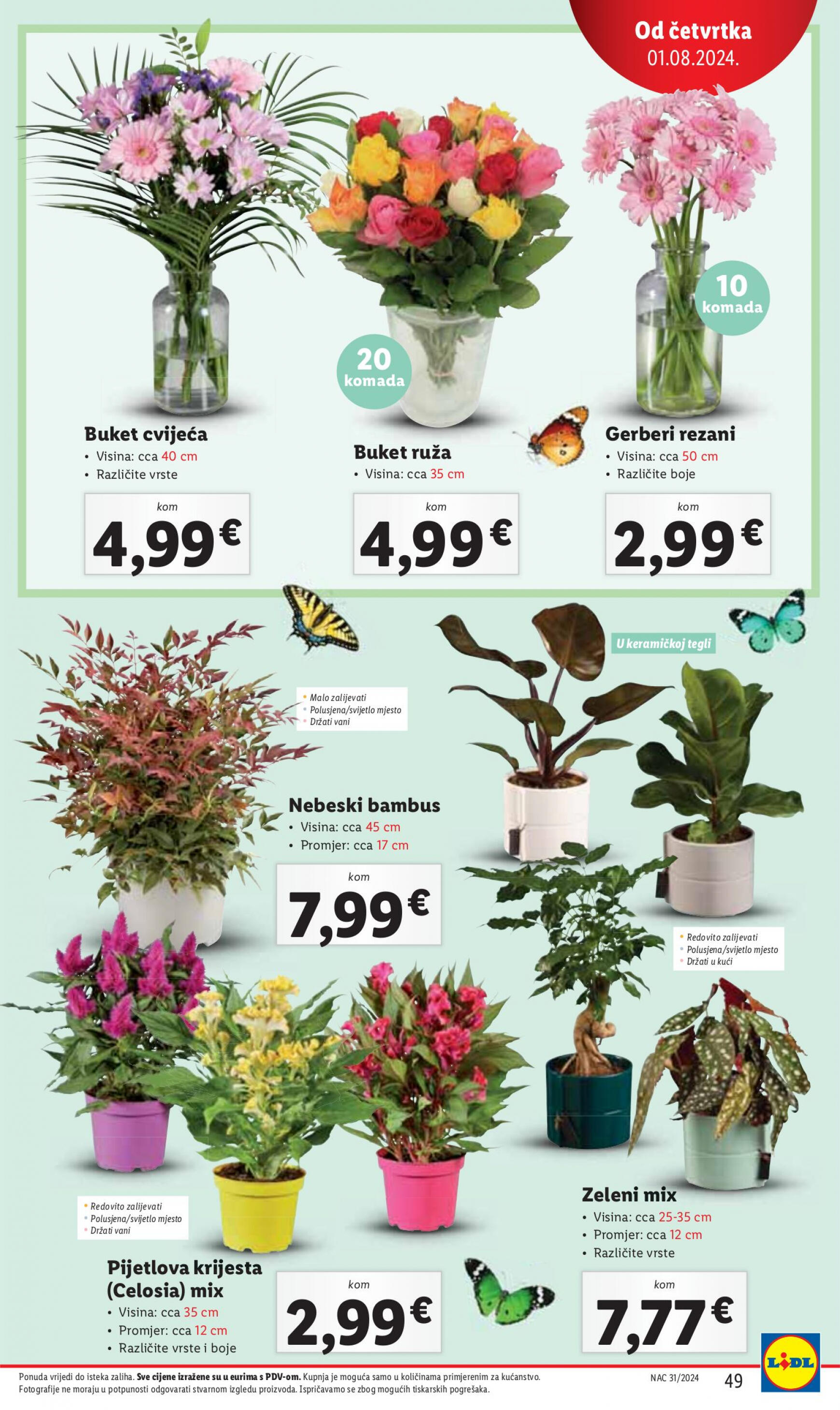 lidl - Novi katalog Lidl 29.07. - 04.08. - page: 49