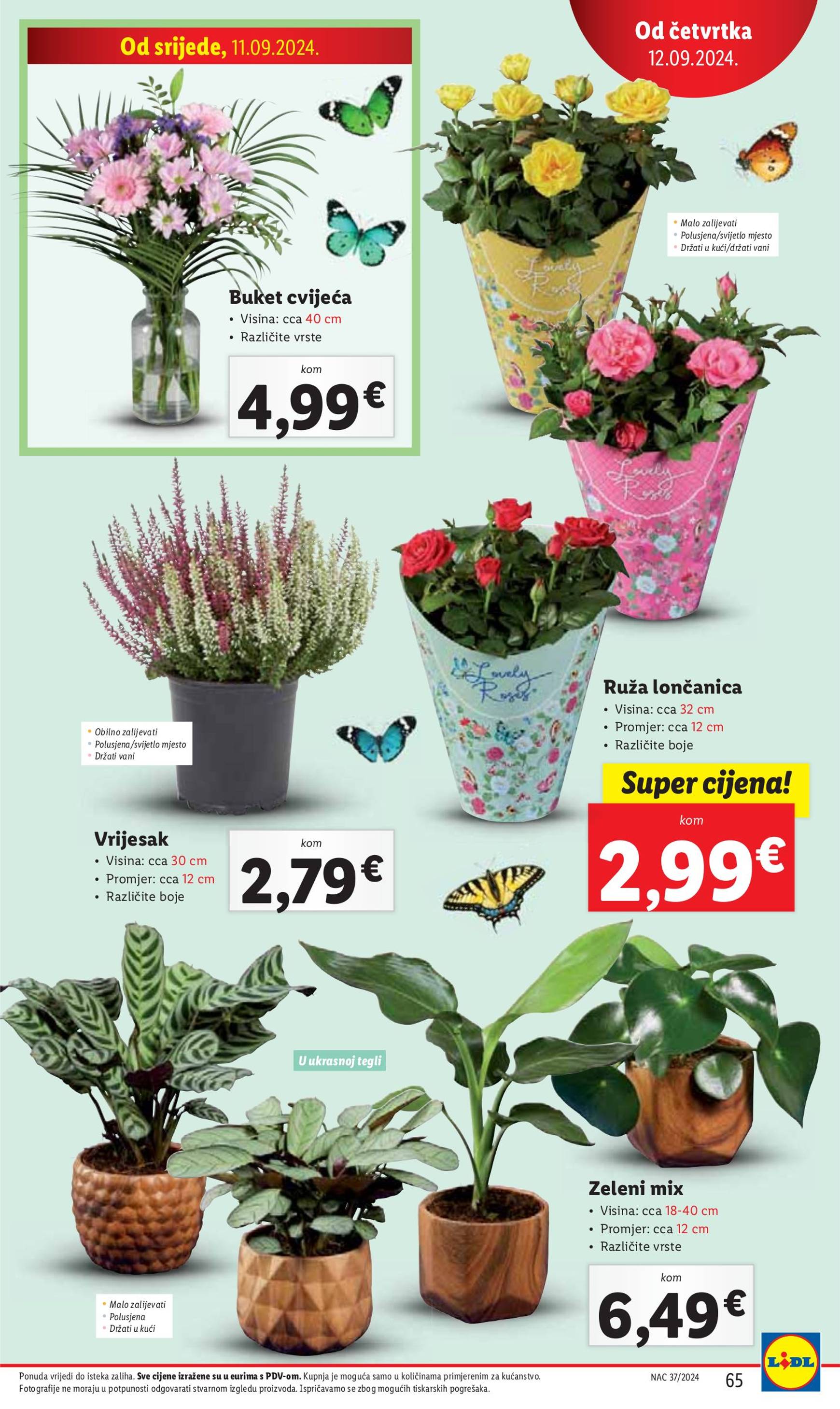 lidl - Novi katalog Lidl 09.09. - 15.09. - page: 65