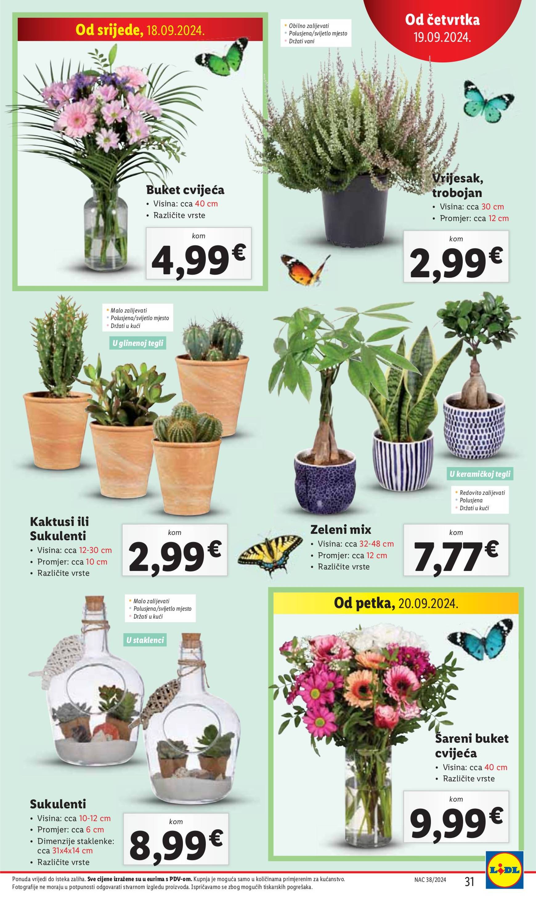 lidl - Novi katalog Lidl 16.09. - 22.09. - page: 31