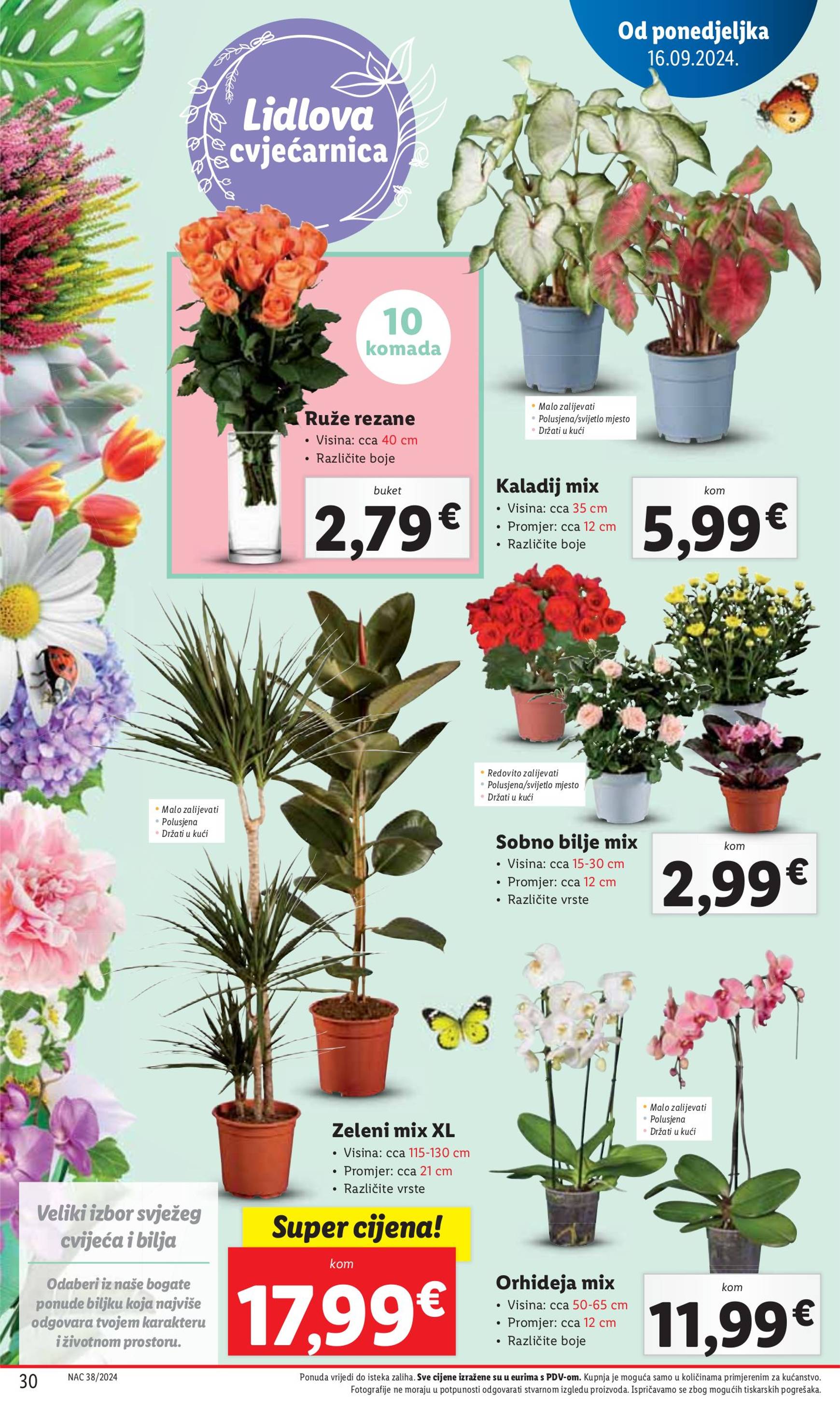 lidl - Novi katalog Lidl 16.09. - 22.09. - page: 30