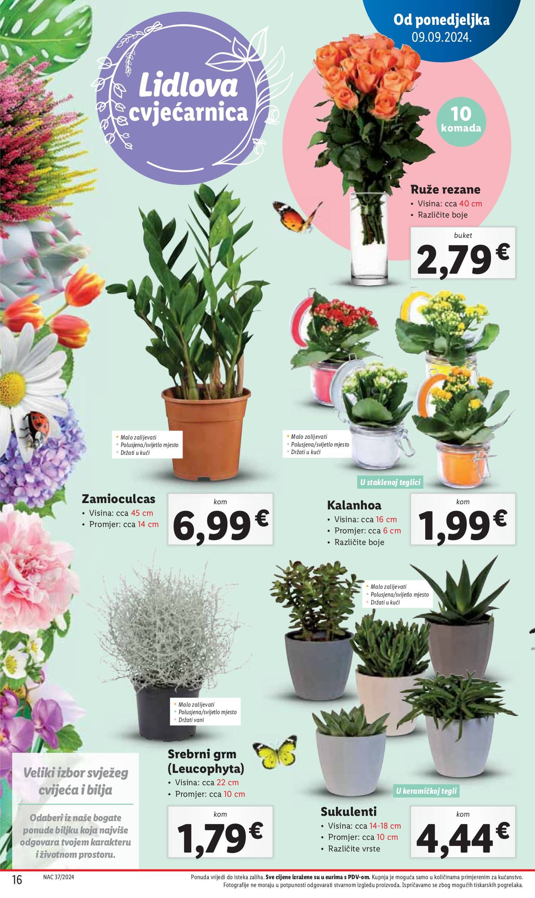 lidl - Novi katalog Lidl 12.09. - 15.09. - page: 16