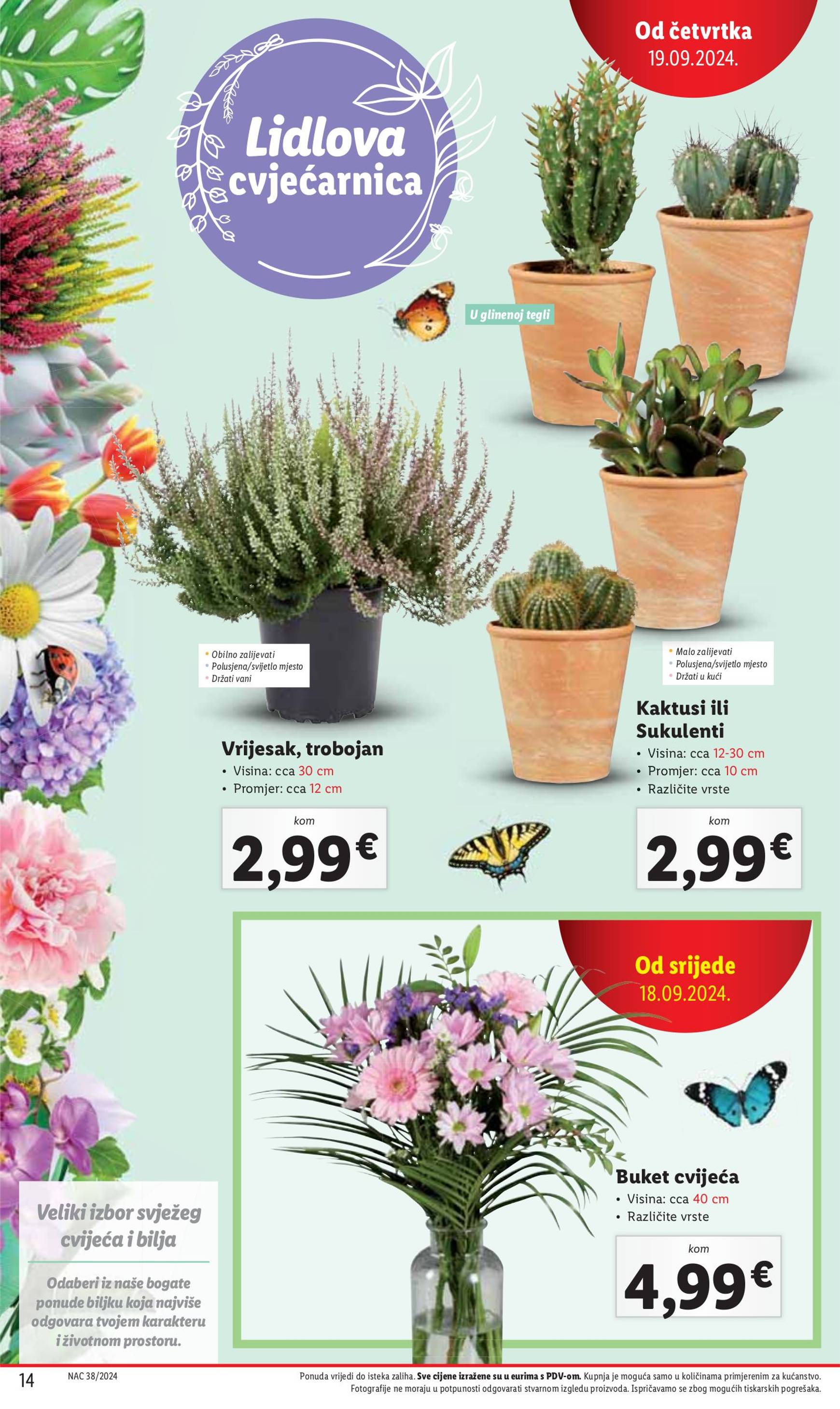 lidl - Novi katalog Lidl 19.09. - 22.09. - page: 14