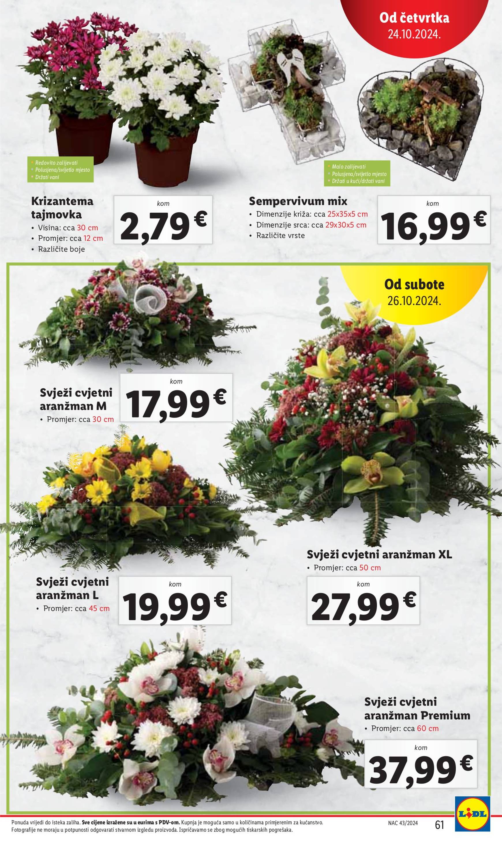 lidl - Lidl katalog vrijedi od 21.10. do 27.10. - page: 61