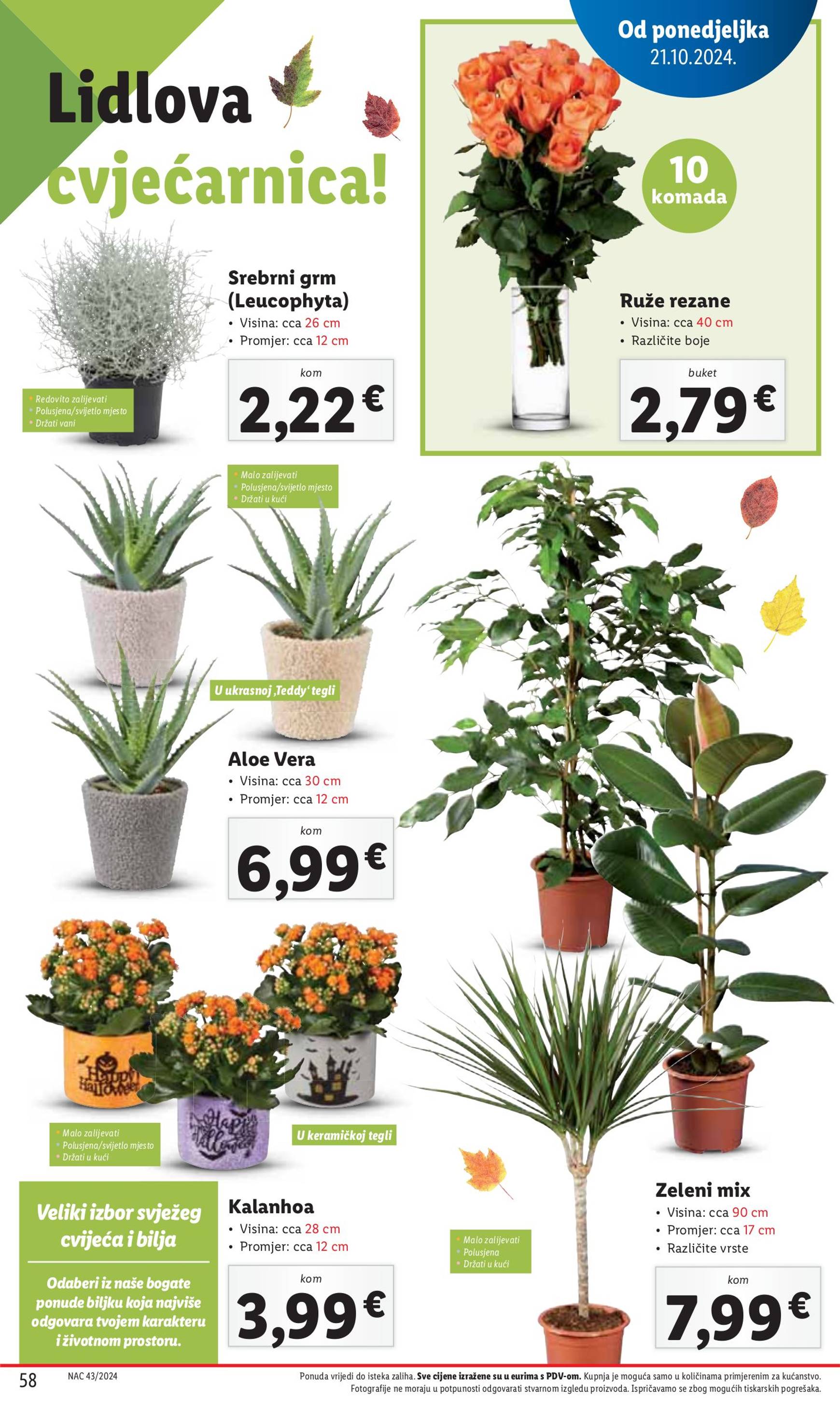 lidl - Lidl katalog vrijedi od 21.10. do 27.10. - page: 58