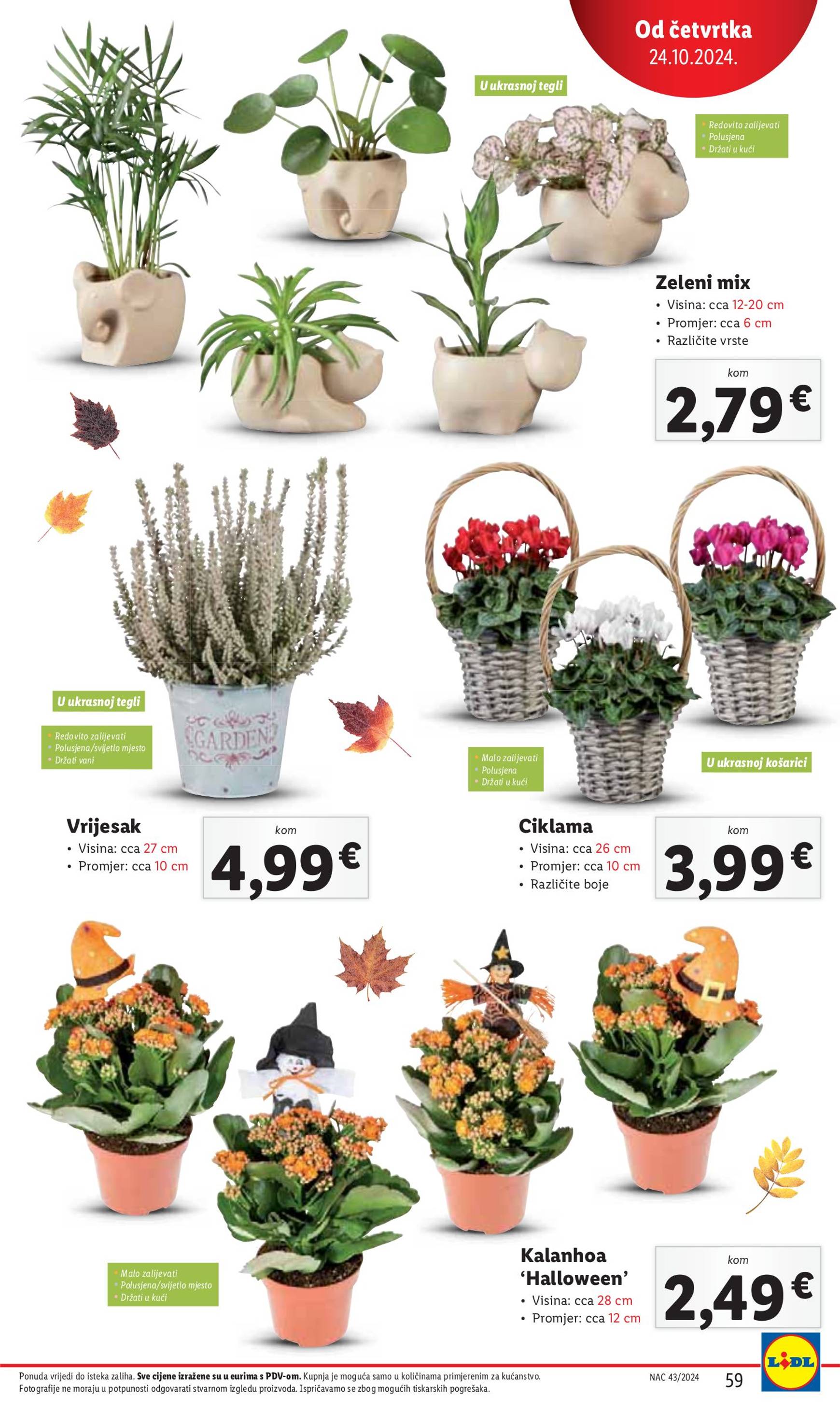 lidl - Lidl katalog vrijedi od 21.10. do 27.10. - page: 59