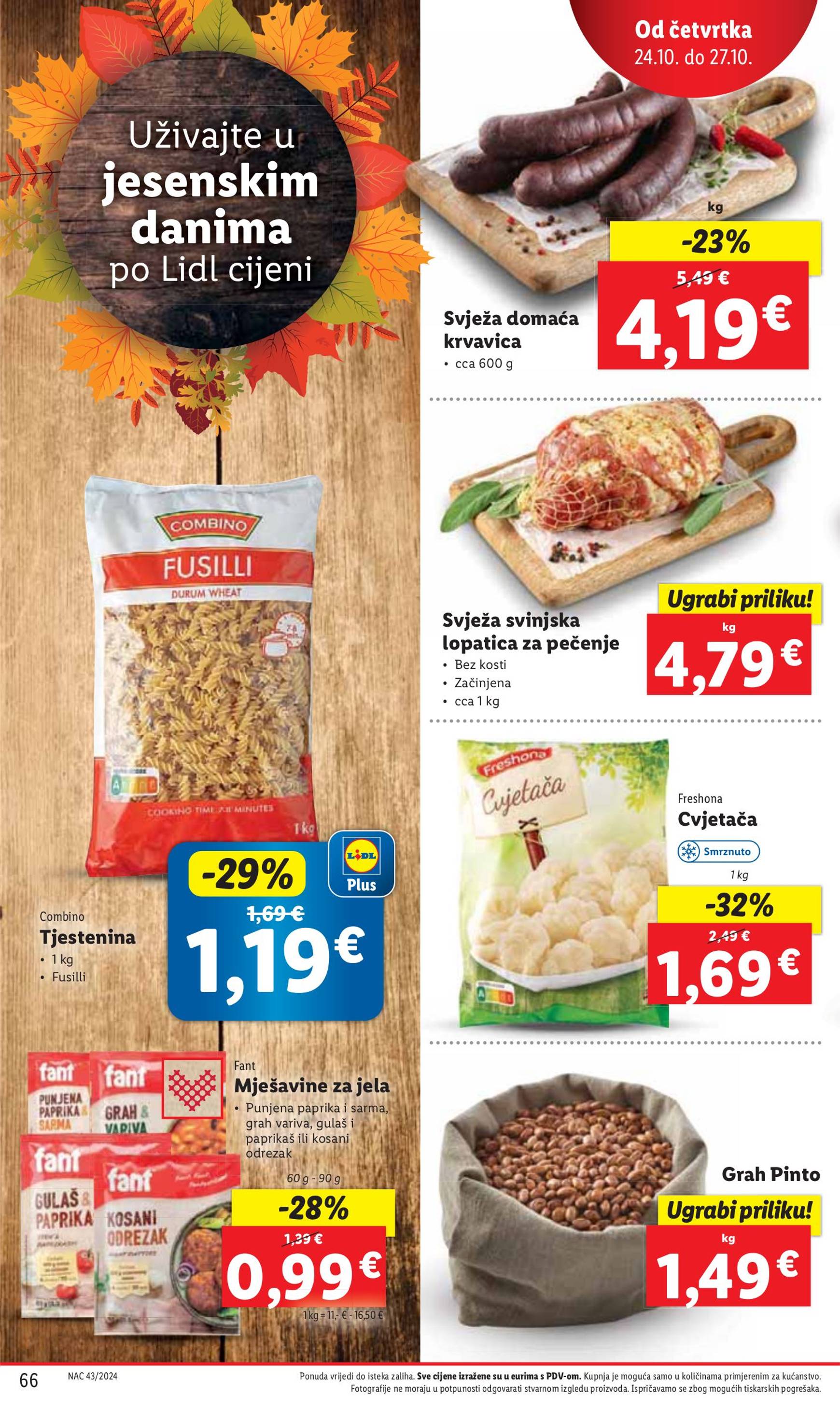 lidl - Lidl katalog vrijedi od 21.10. do 27.10. - page: 66