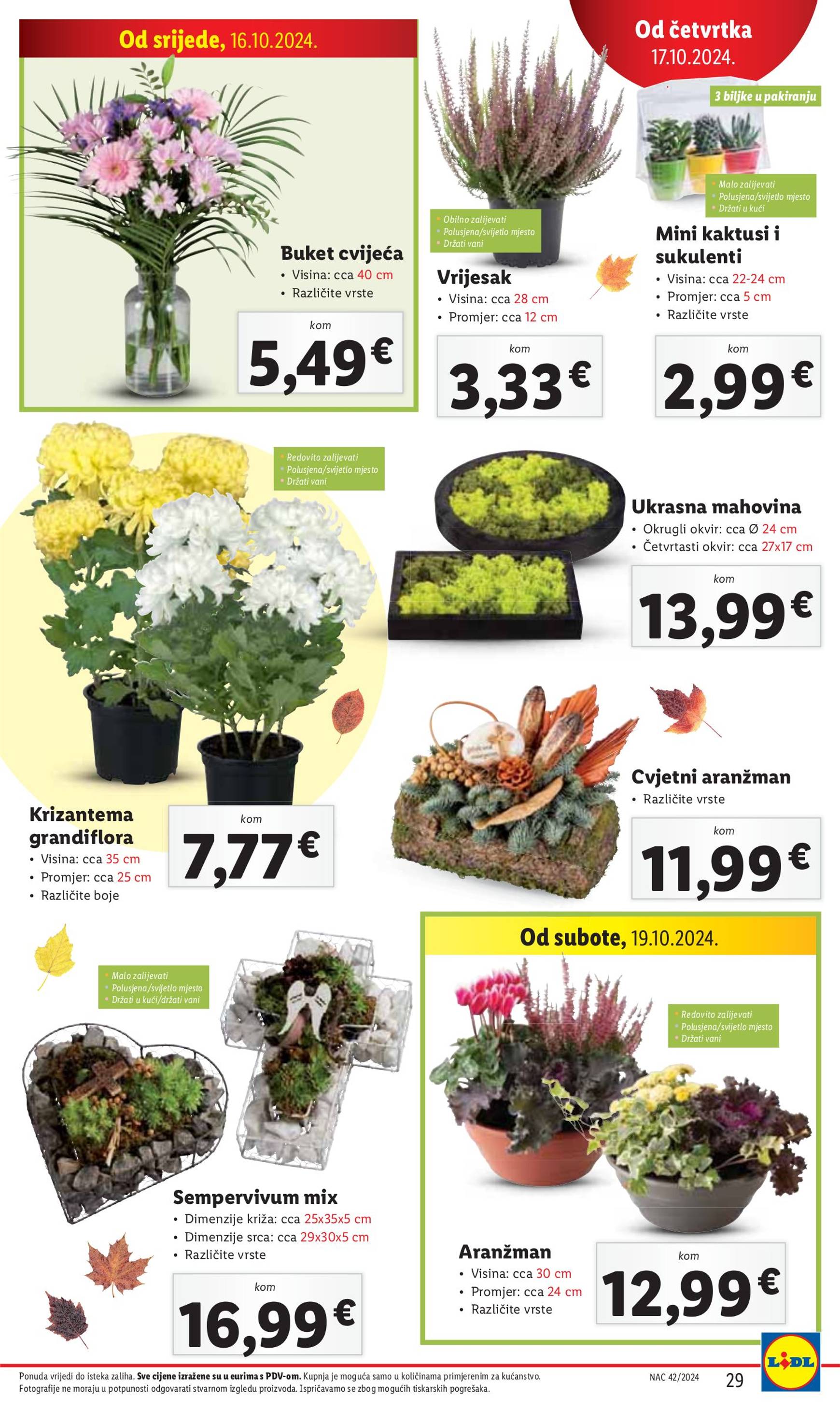 lidl - Lidl katalog vrijedi od 17.10. do 20.10. - page: 29