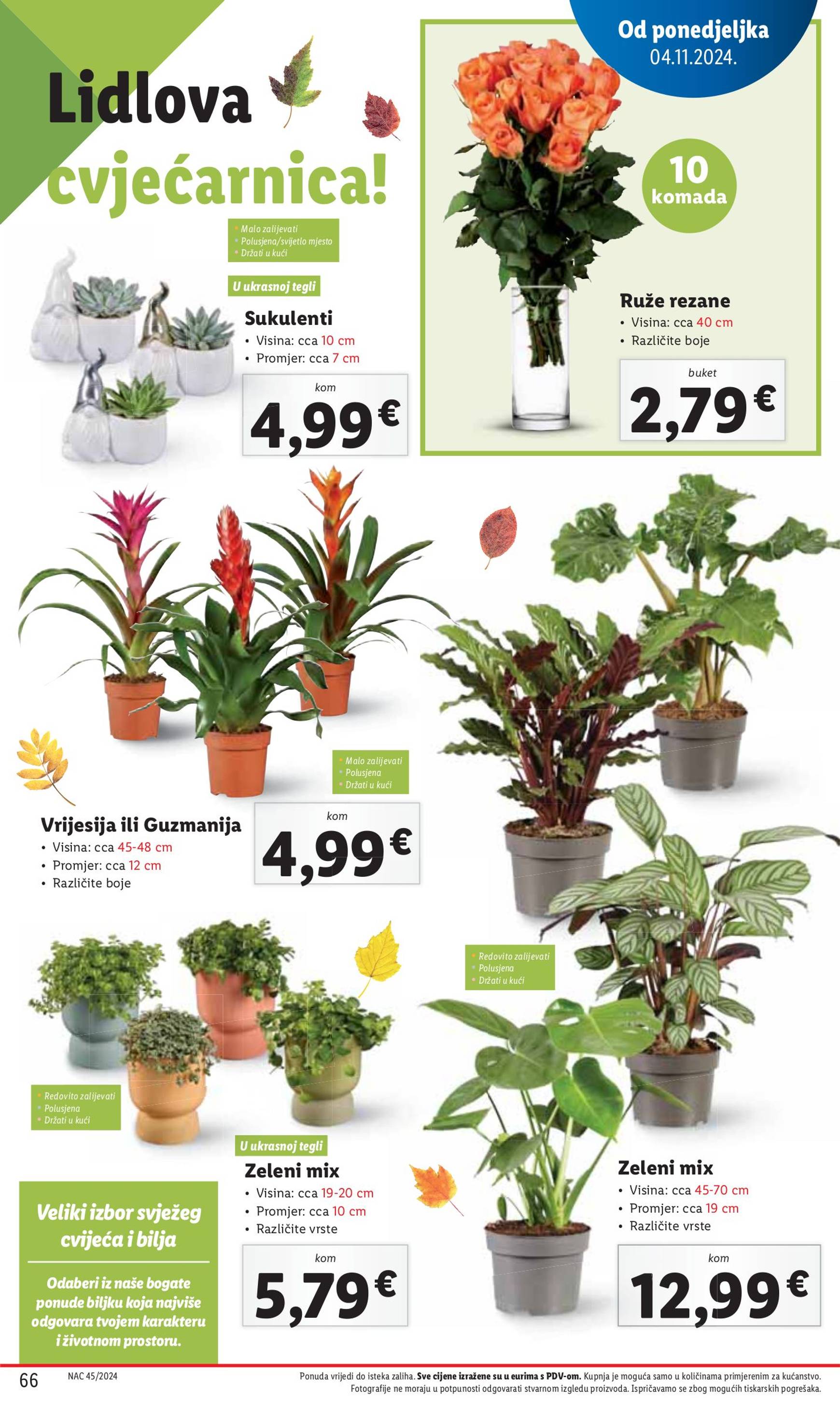 lidl - Lidl katalog vrijedi od 04.11. do 10.11. - page: 66