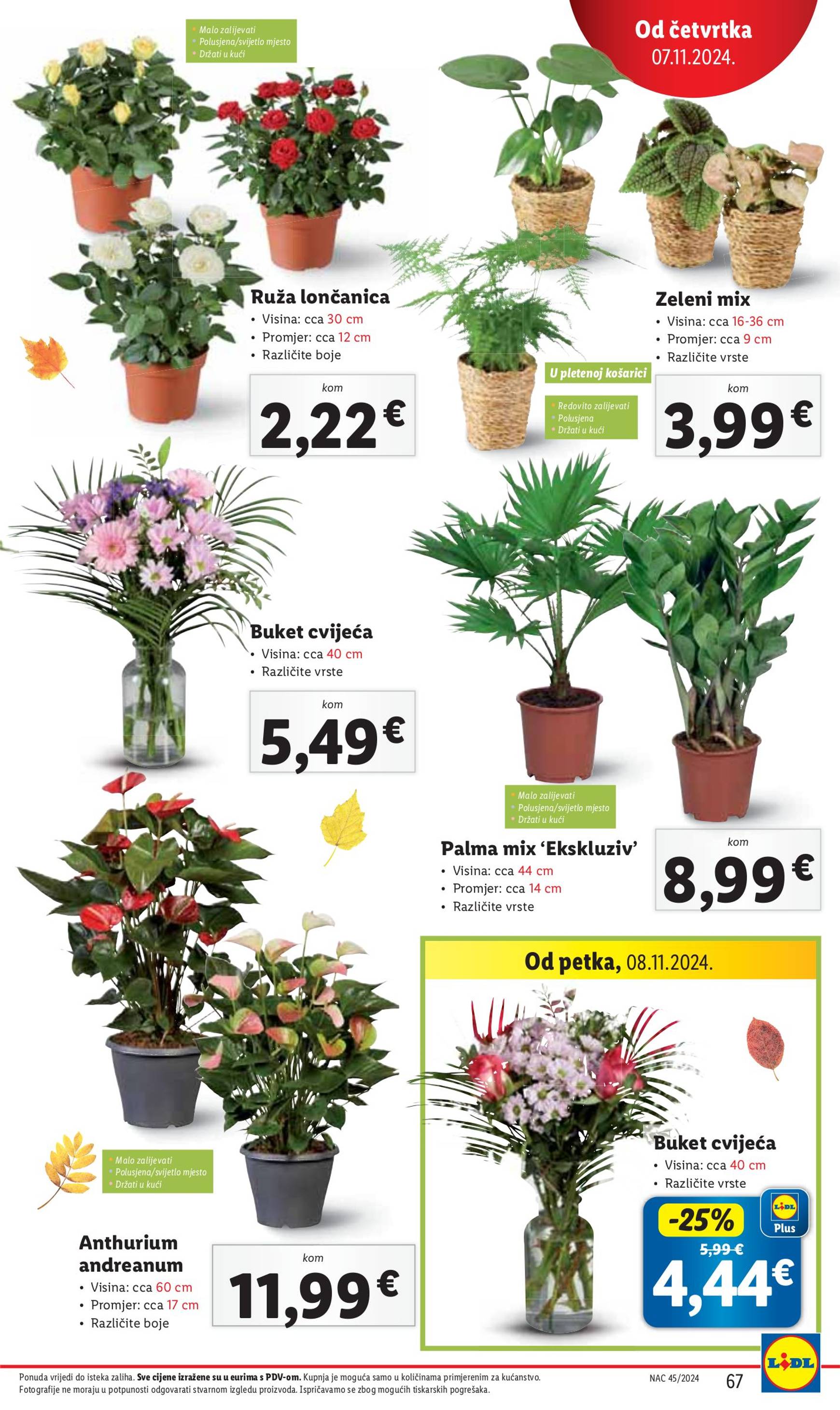 lidl - Lidl katalog vrijedi od 04.11. do 10.11. - page: 67