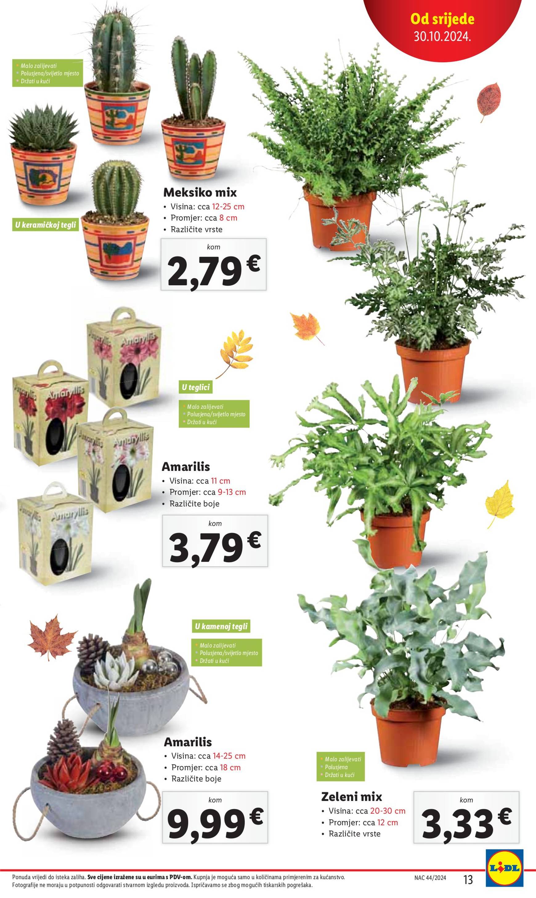 lidl - Lidl - Super ponuda katalog vrijedi od 30.10. do 03.11. - page: 13