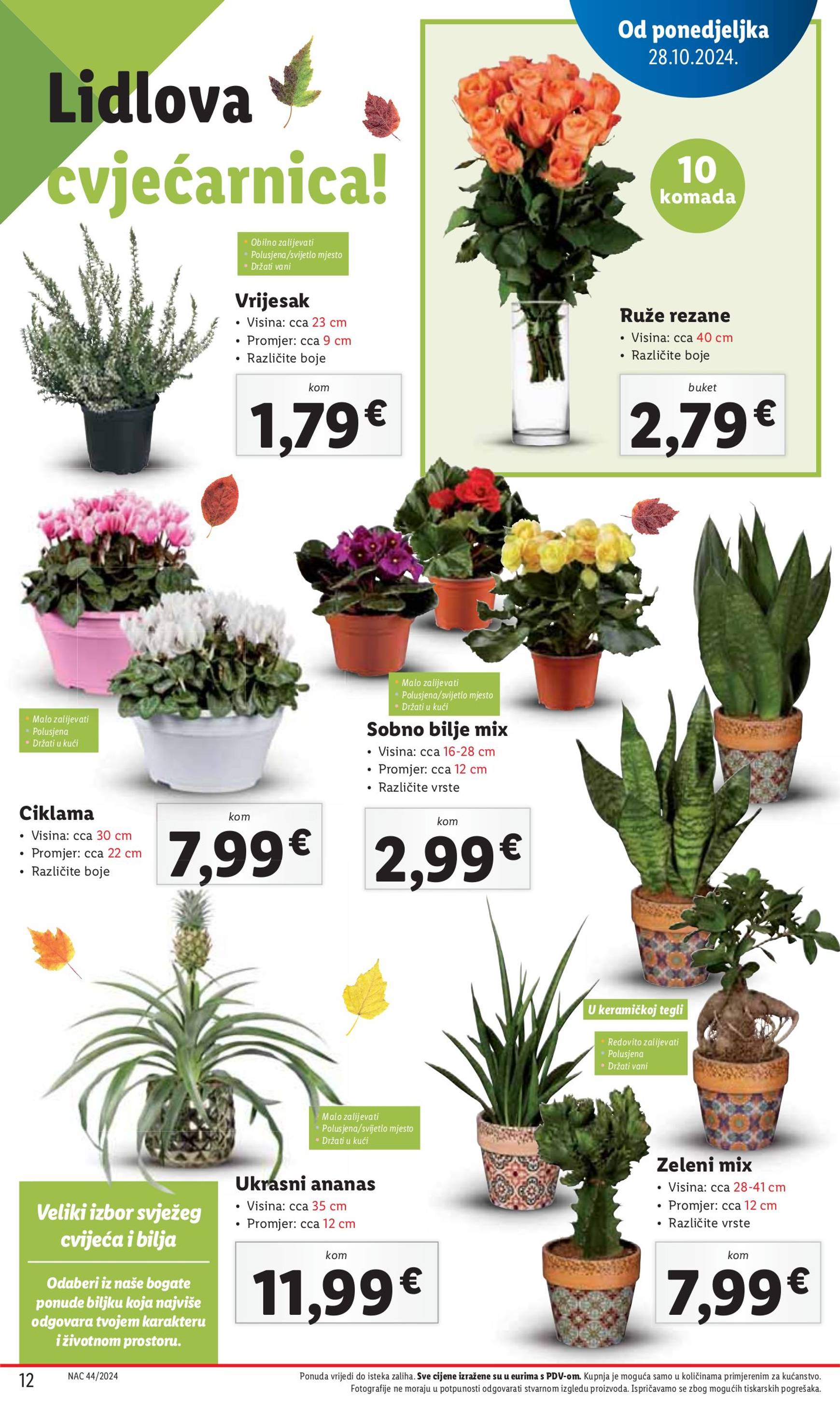 lidl - Lidl - Super ponuda katalog vrijedi od 30.10. do 03.11. - page: 12