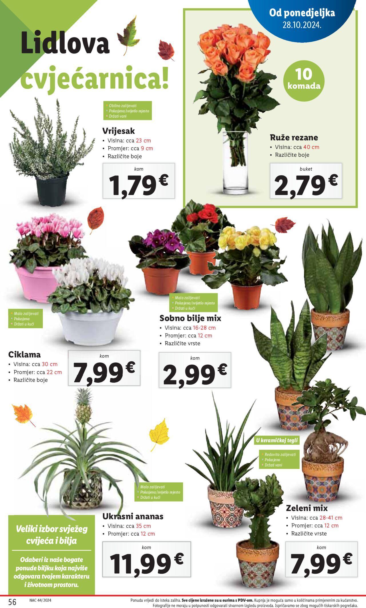 lidl - Katalog Lidl novi 28.10.2024 - 03.11.2024 - page: 56